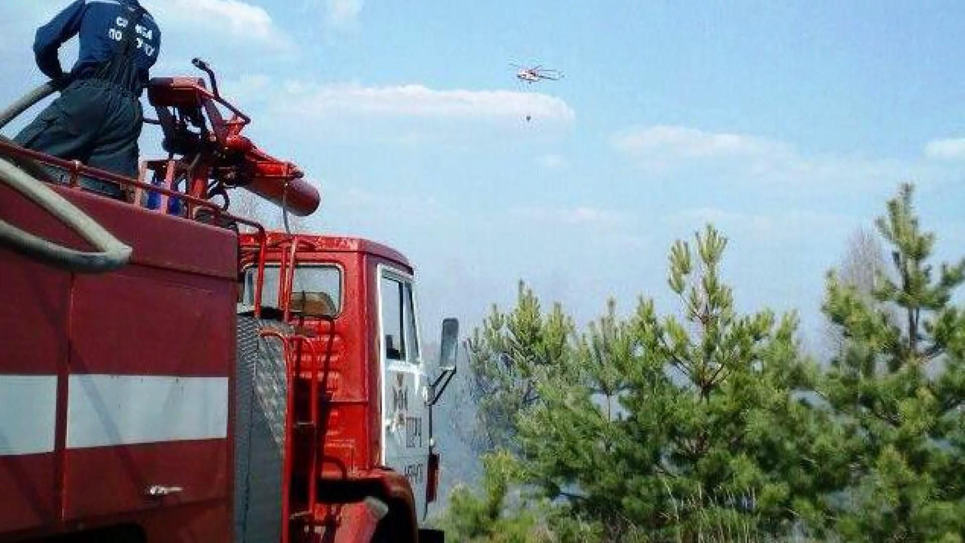 Из-за сжигания листьев и травы 15 гектаров леса горели на Черниговщине: фото