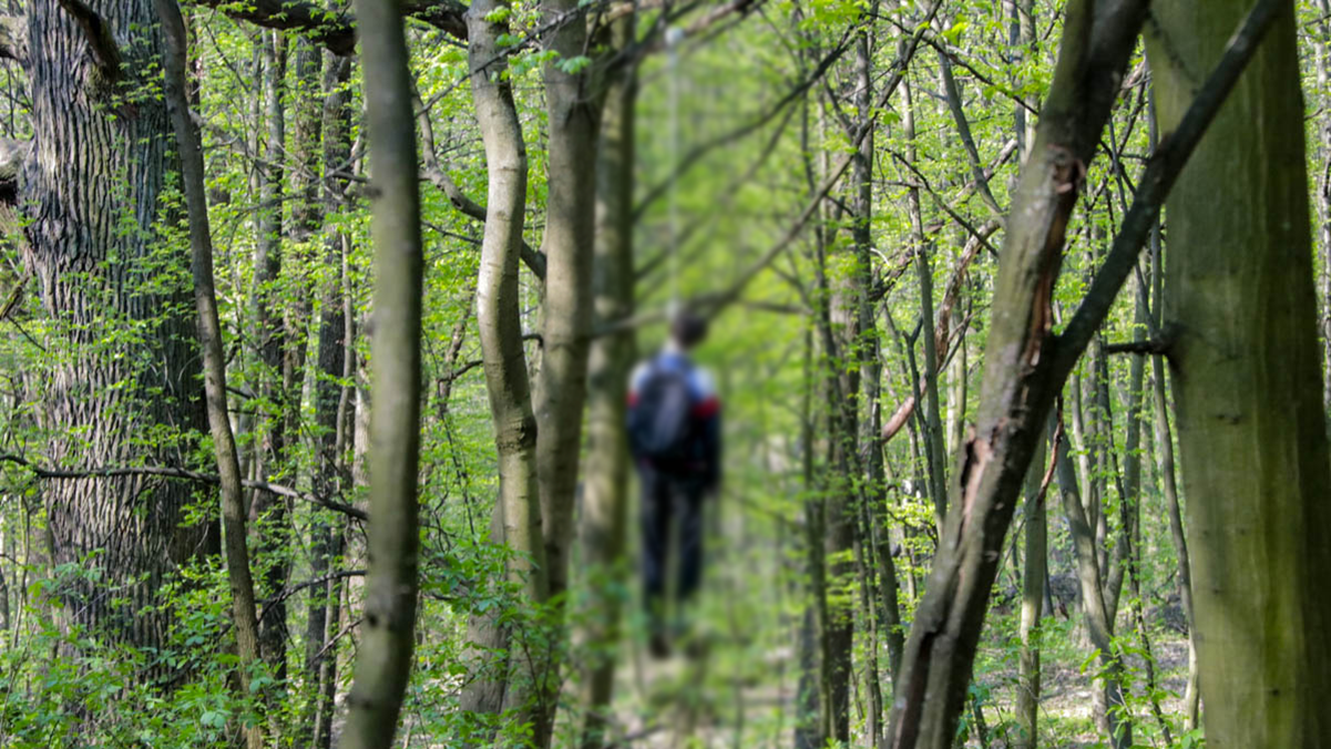 У Києві на ВДНГ повісився юнак: фото, відео У Києві на ВДНГ повісився юнак: фото, відео