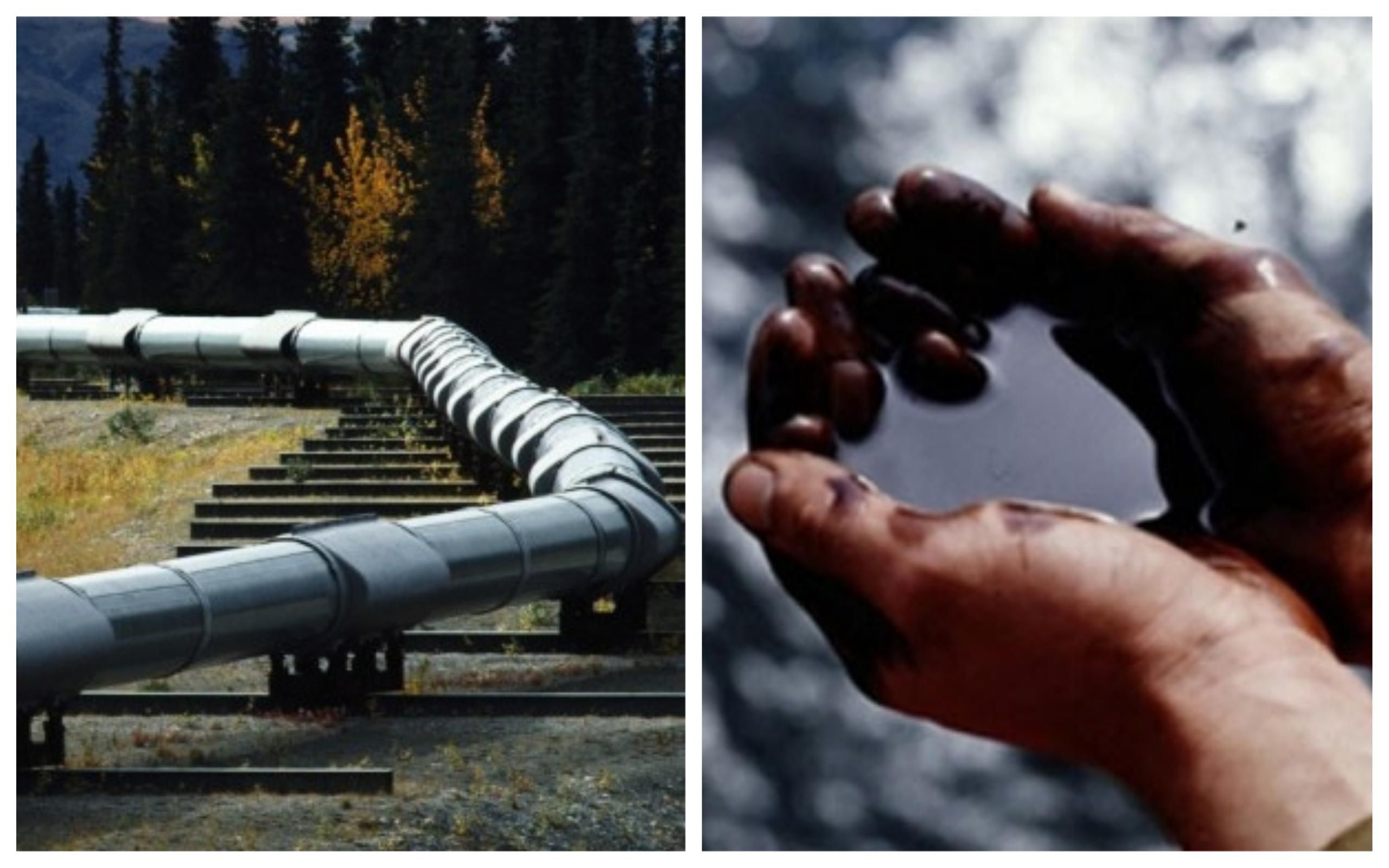 Украина и Словакия приостановили транзит некачественной российской нефти Украина и Словакия приостановили транзит некачественной российской нефти