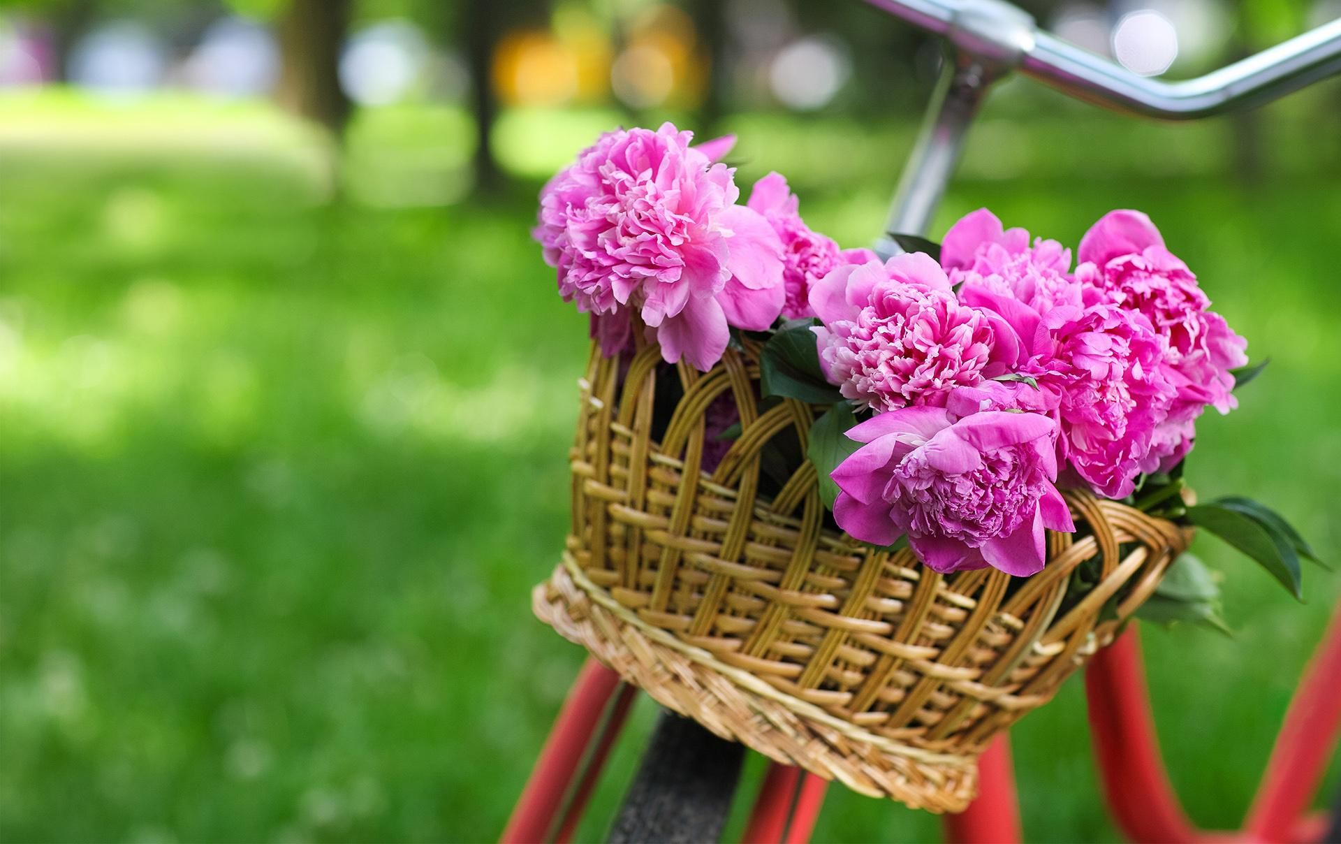 Погода 2 травня 2019 Україна - погода від синоптика Погода 2 травня 2019 Україна - погода від синоптика