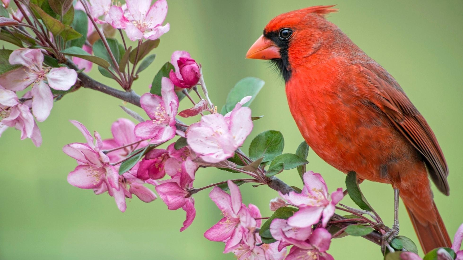 Прогноз погоды на 28 апреля 2019 Украина - что обещает синоптик