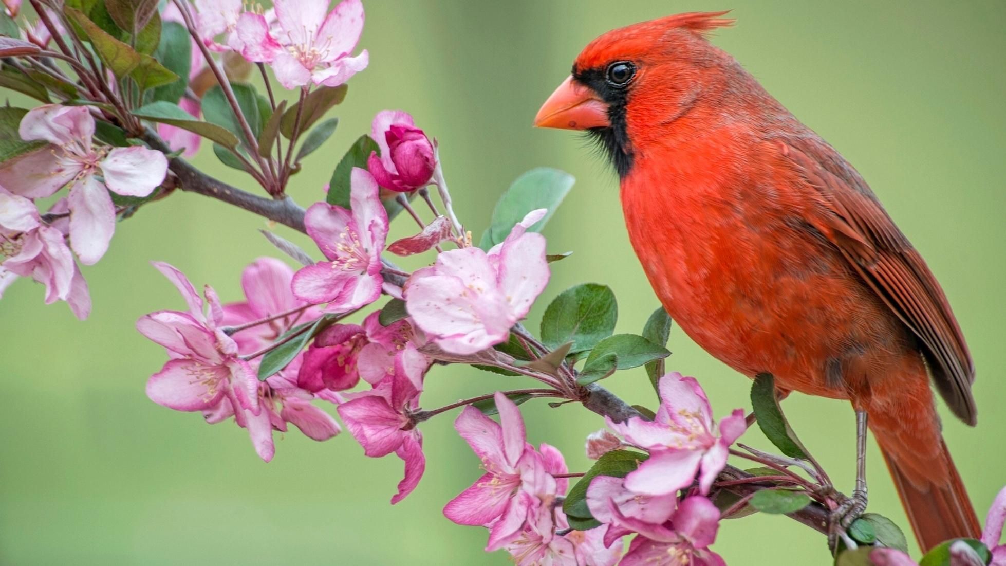 Прогноз погоды на 28 апреля 2019 Украина - что обещает синоптик Прогноз погоды на 28 апреля 2019 Украина - что обещает синоптик