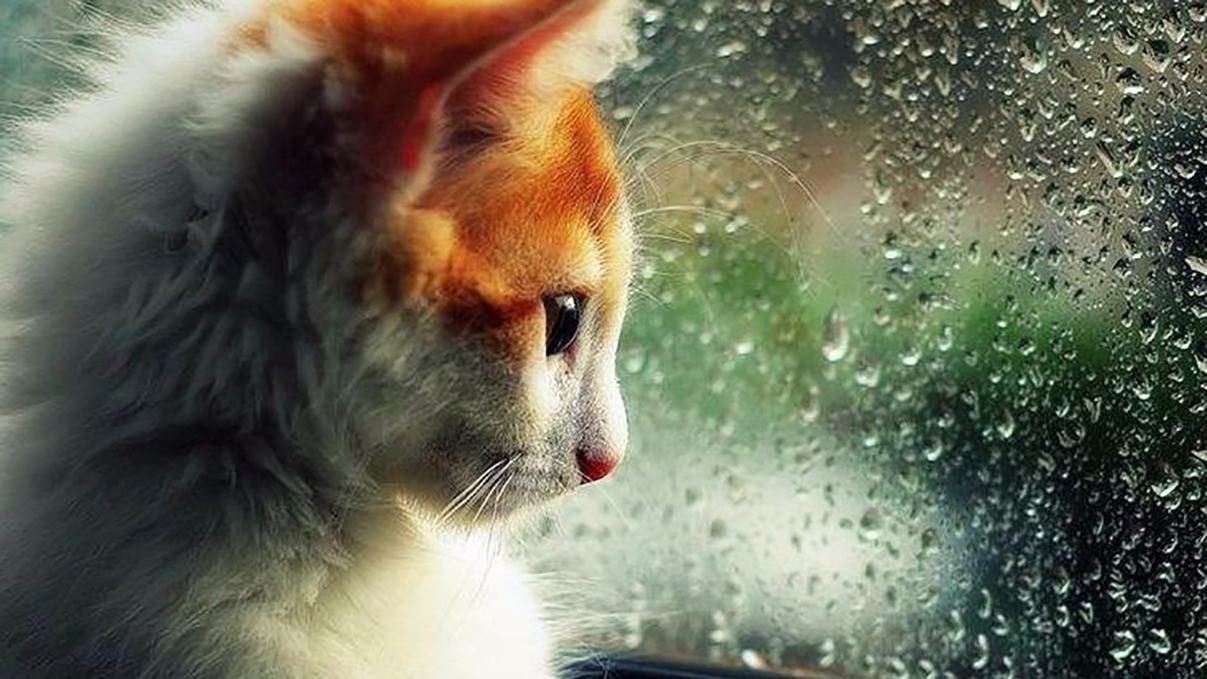 Погода 30 апреля 2019 Украина - какую погоду обещает синоптик Погода 30 апреля 2019 Украина - какую погоду обещает синоптик