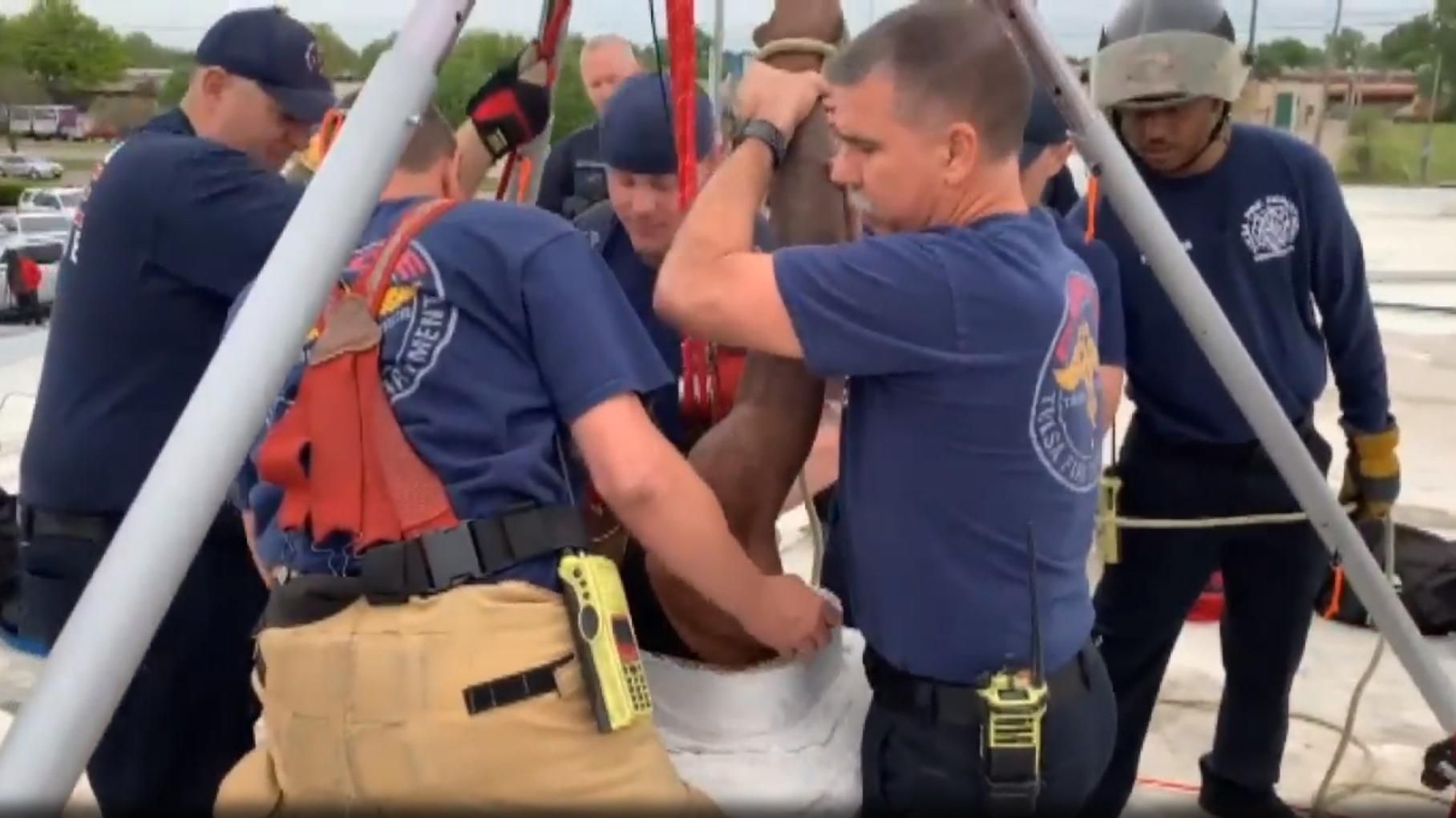 Злодій застряг у димарі під час пограбування та розплакався Злодій застряг у димарі під час пограбування та розплакався