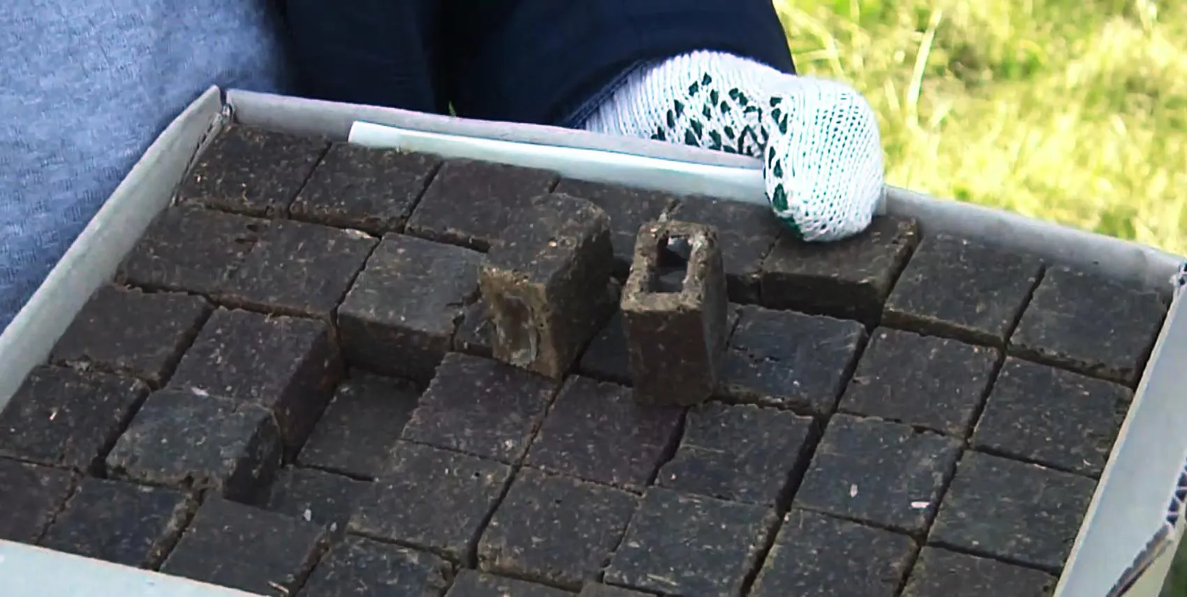 Вакцинація від сказу на Волині Вакцинація від сказу на Волині