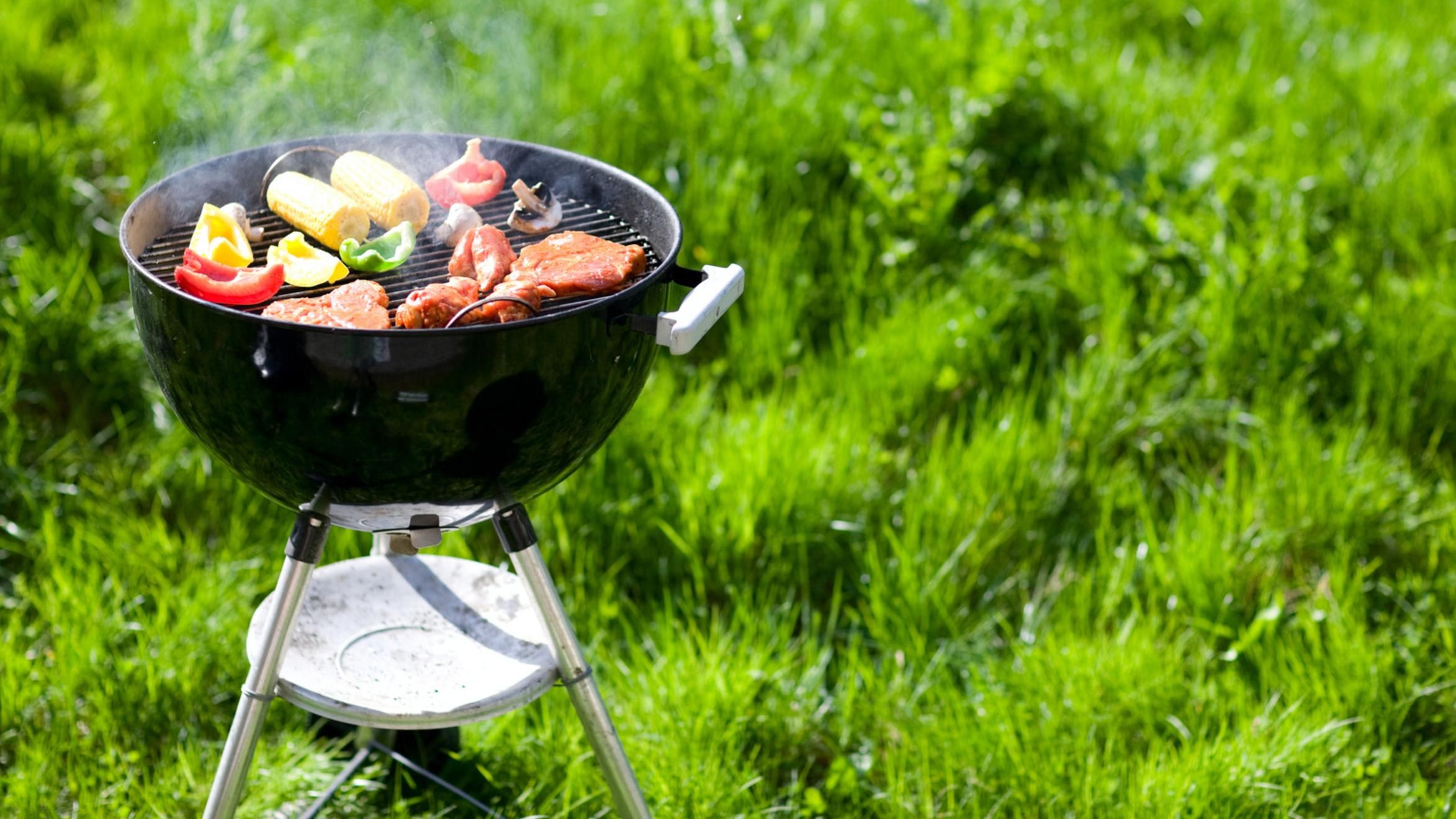 На пикник за городом: какие правила безопасности необходимо соблюдать На пикник за городом: какие правила безопасности необходимо соблюдать