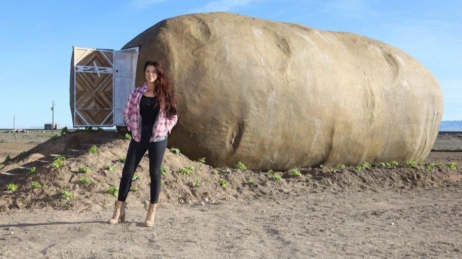 Пожити у картоплині: у США здають в оренду курйозне помешкання Пожити у картоплині: у США здають в оренду курйозне помешкання