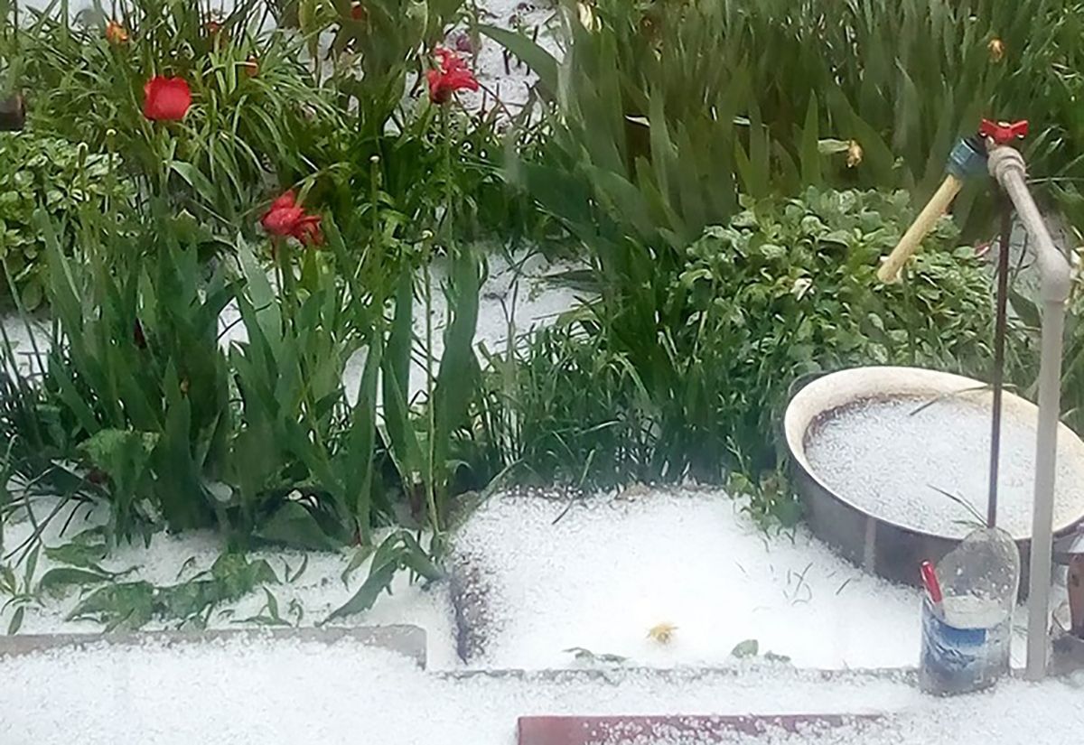 В Україні 1 травня випав сніг: фото