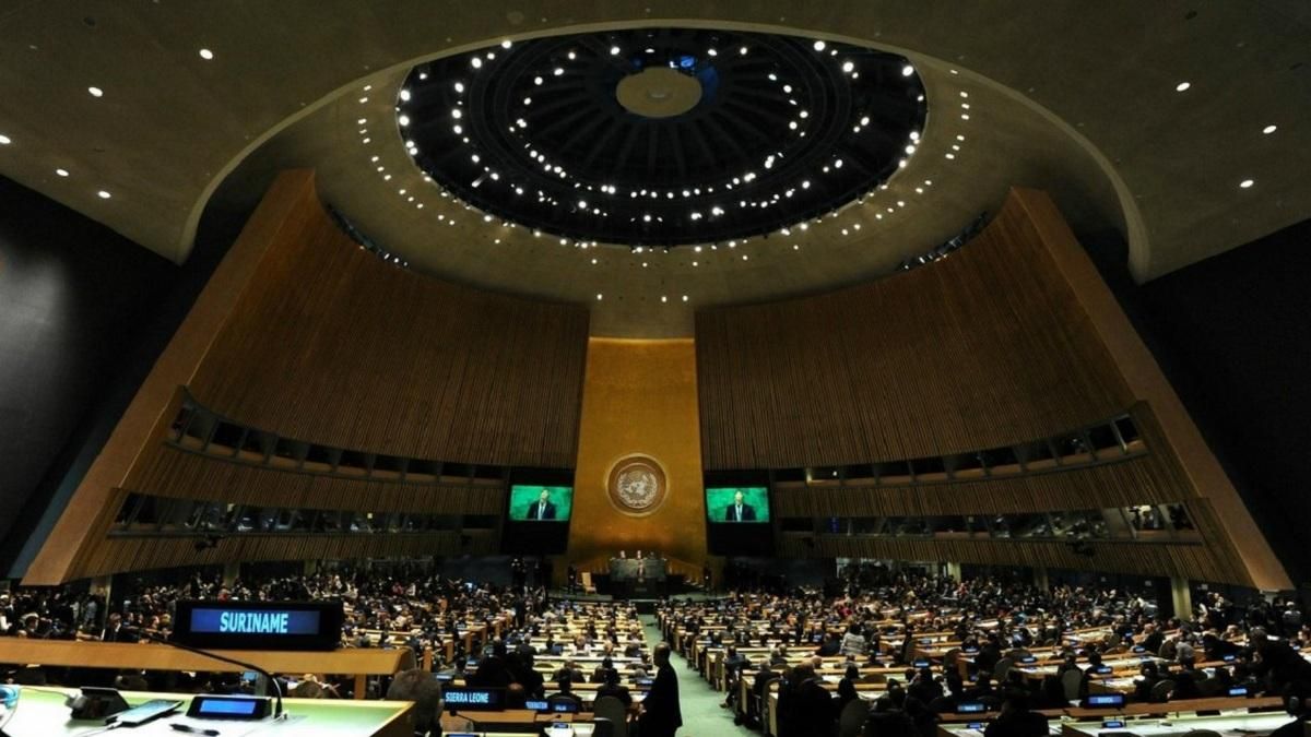 Спикера украинской миссии выбрали вице-председателем комитета ООН по информации Спикера украинской миссии выбрали вице-председателем комитета ООН по информации