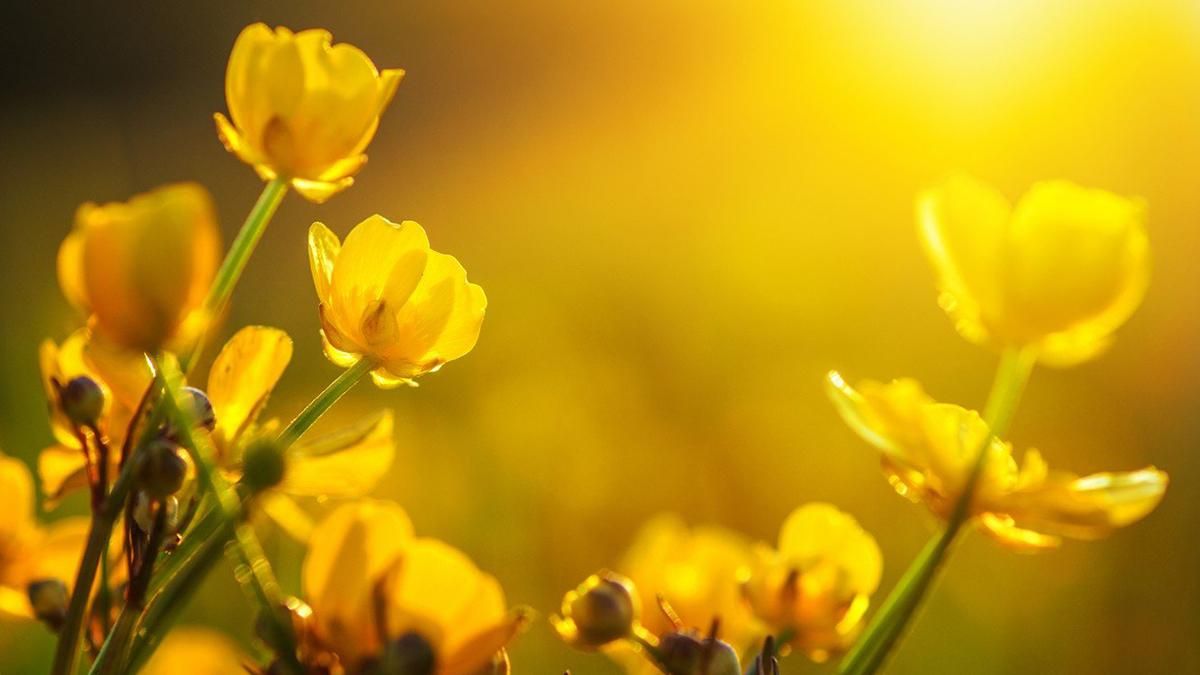 Погода 3 мая 2019 Украина - какую погоду обещает синоптик Погода 3 мая 2019 Украина - какую погоду обещает синоптик