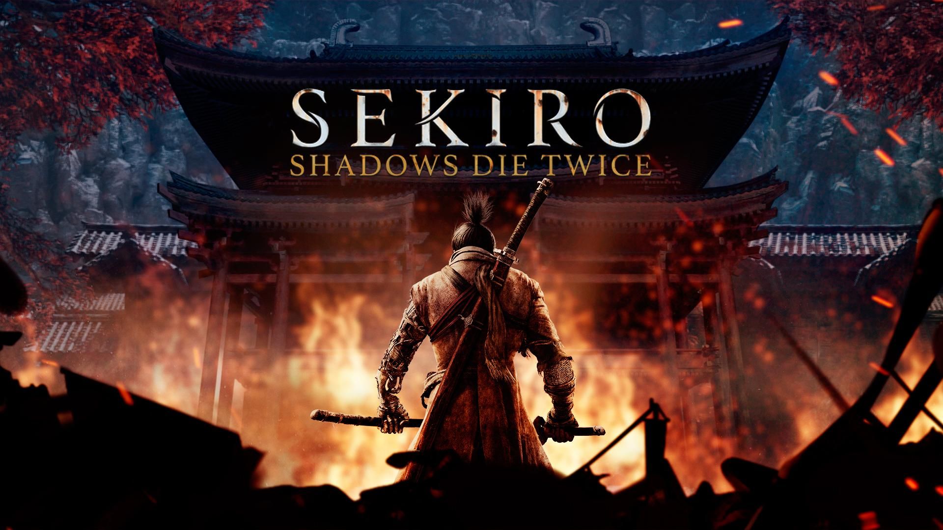 Как выглядят битвы из игры Sekiro: Shadows Die Twice в реальной жизни: смешное видео