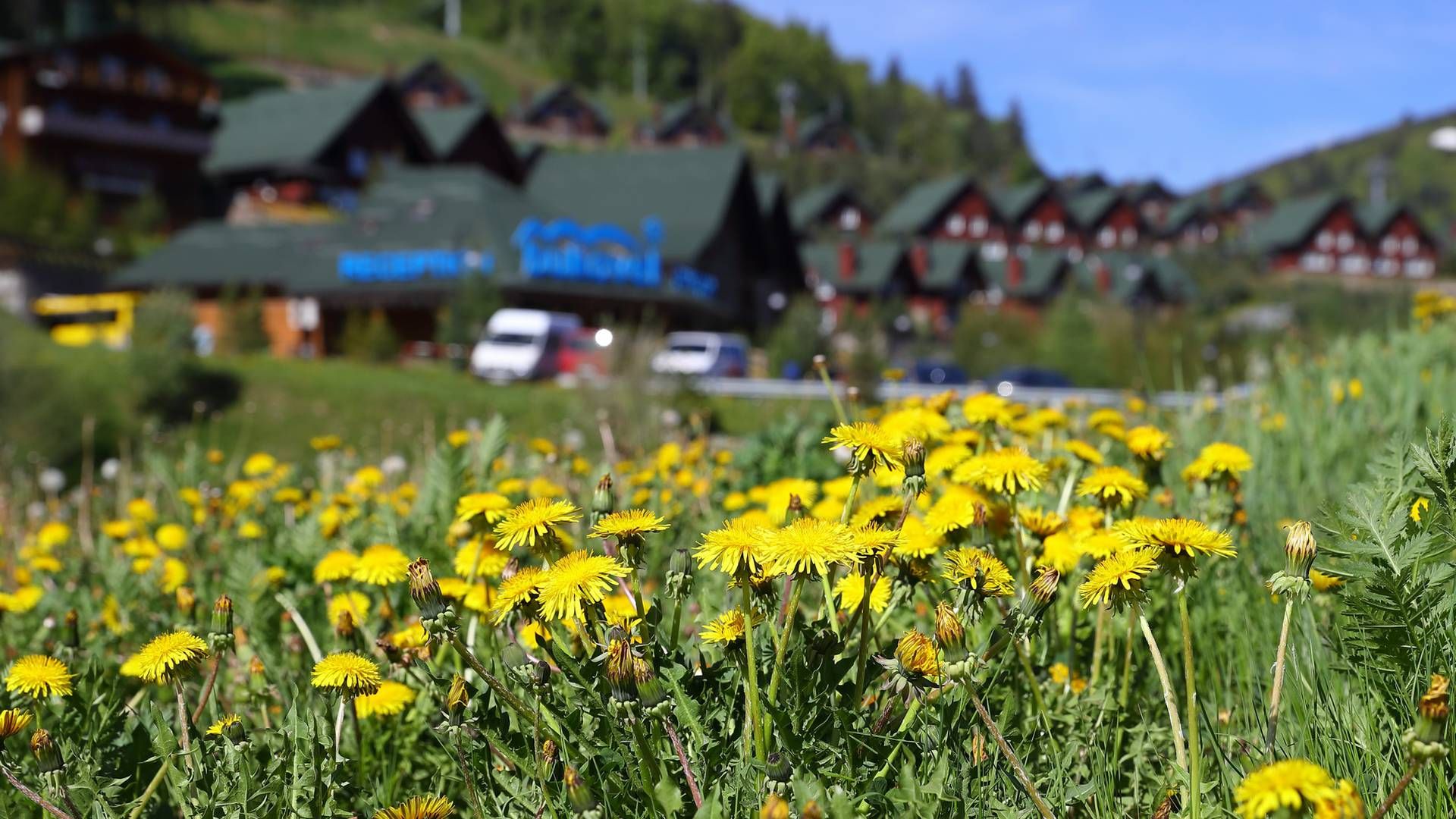 Погода 6 мая 2019 Украина - прогноз погоды от синоптика Погода 6 мая 2019 Украина - прогноз погоды от синоптика