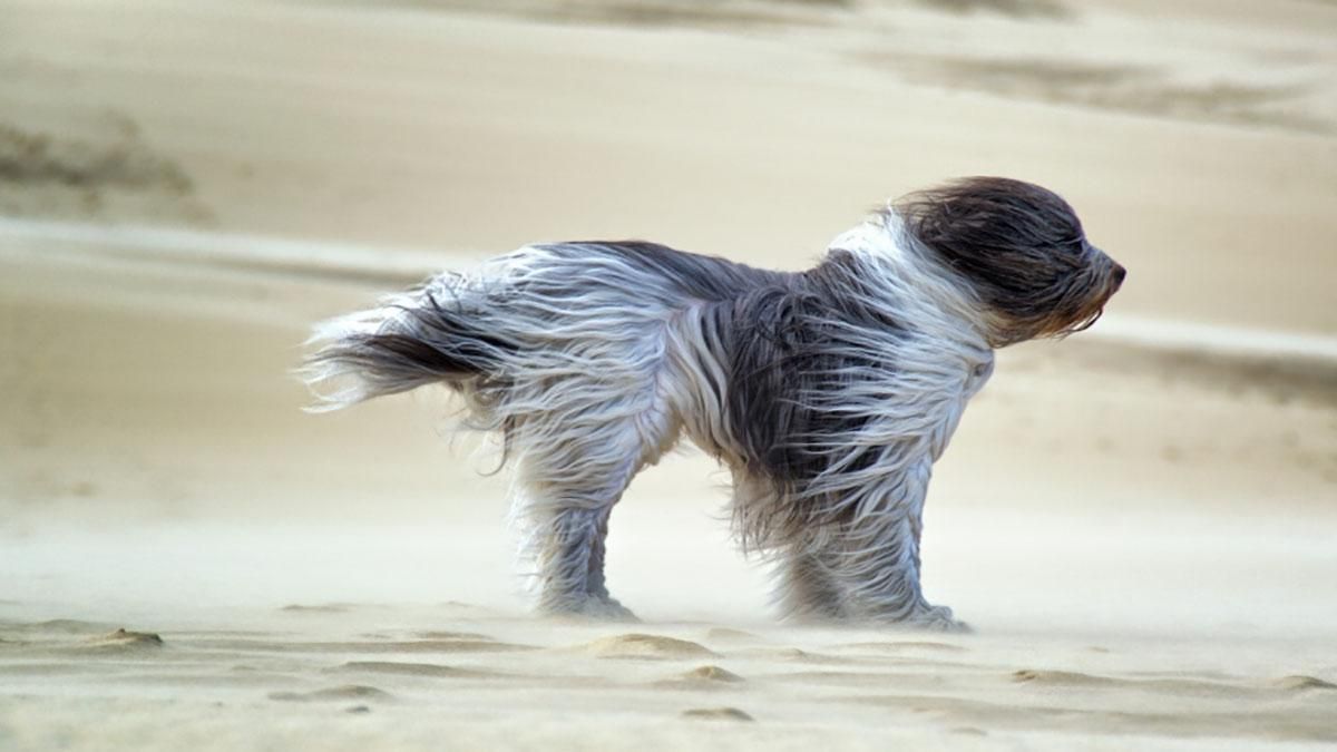 Погода 4 травня 2019 Україна - яку погоду обіцяє синоптик Погода 4 травня 2019 Україна - яку погоду обіцяє синоптик