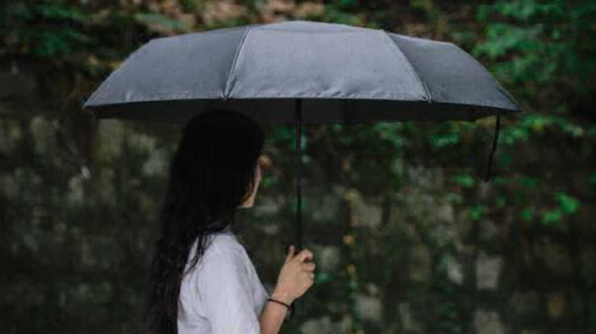Xiaomi выпустила оригинальный зонтик: особенности