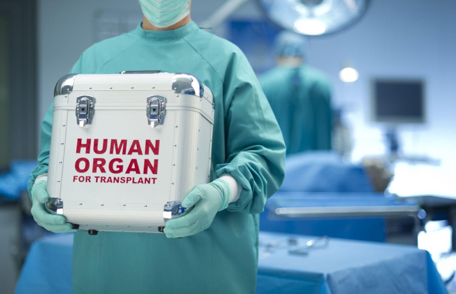 Важлива розробка: науковці виведуть трансплантологію на новий рівень 