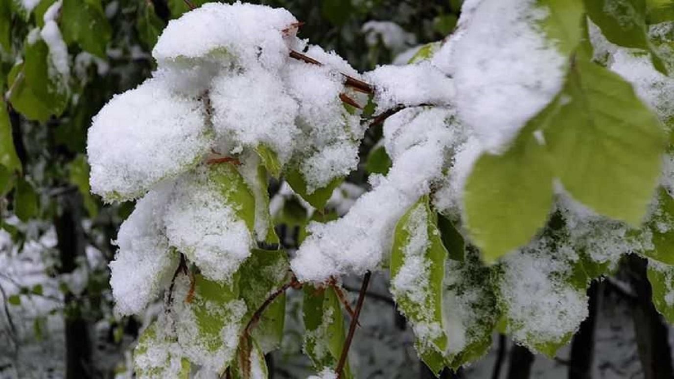 Погодні аномалії у Румунії: до країни-сусідки повертається зима