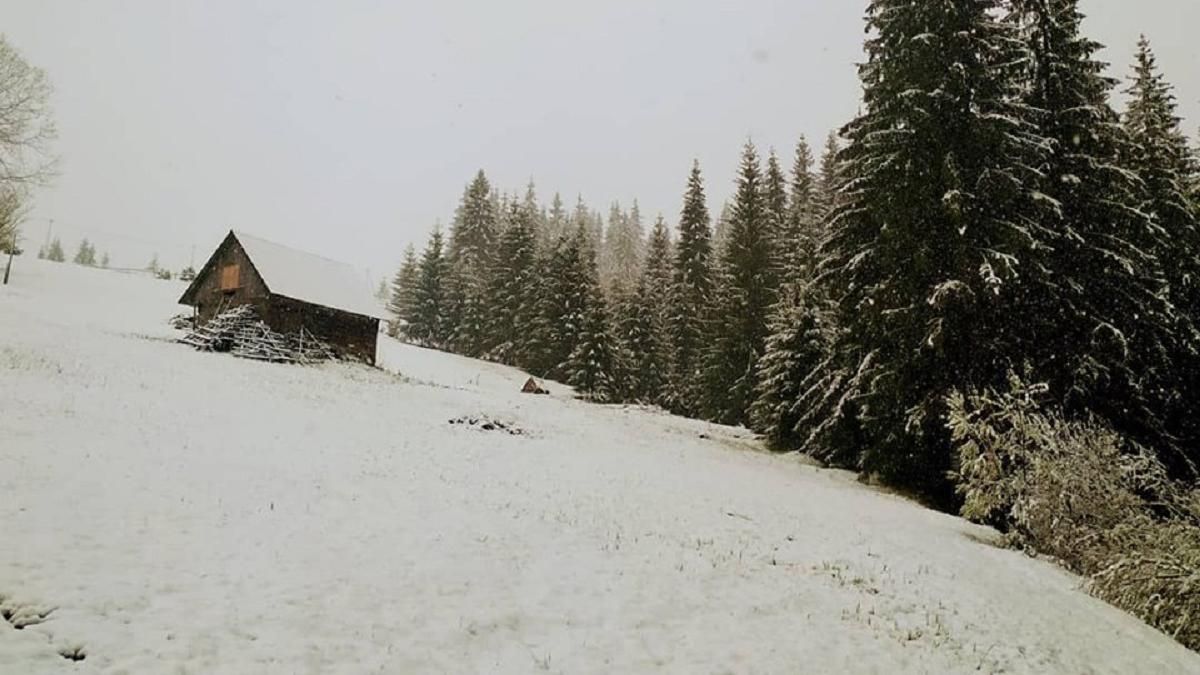 Карпаты засыпает снегом: яркие фото и видео