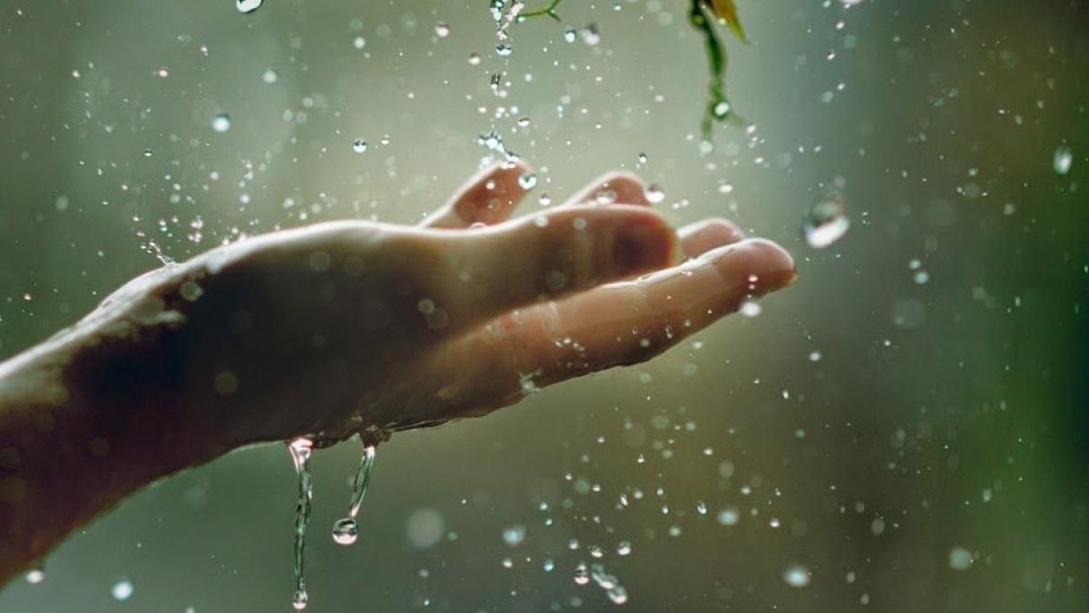 Погода на 8 травня 2019 Україна - що прогнозують синоптики Погода на 8 травня 2019 Україна - що прогнозують синоптики