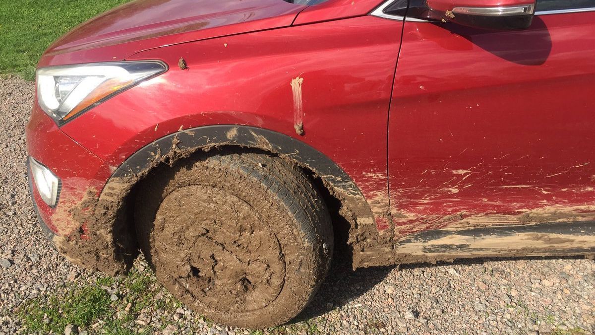 Авто посла Канады застряло в грязи на Черкасщине: фото