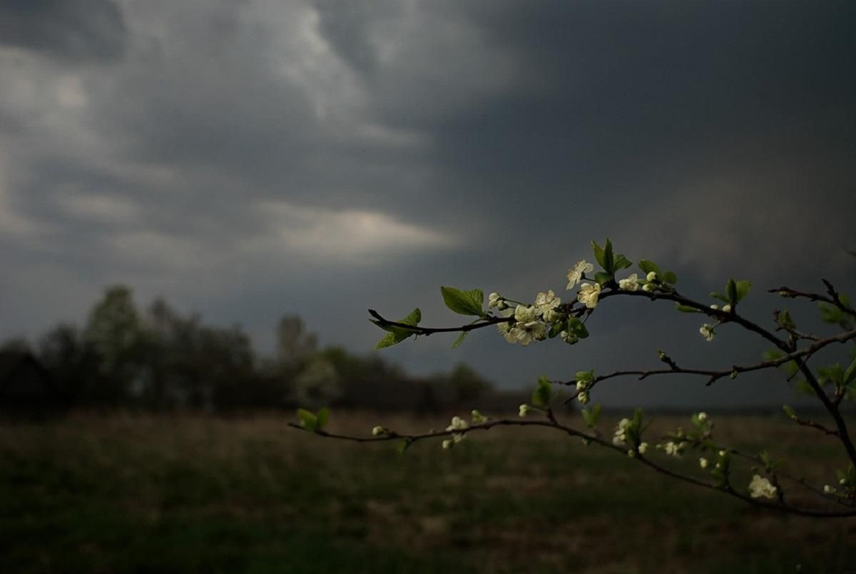 Прогноз погоды 11 мая 2019 Украина - прогноз от синоптика