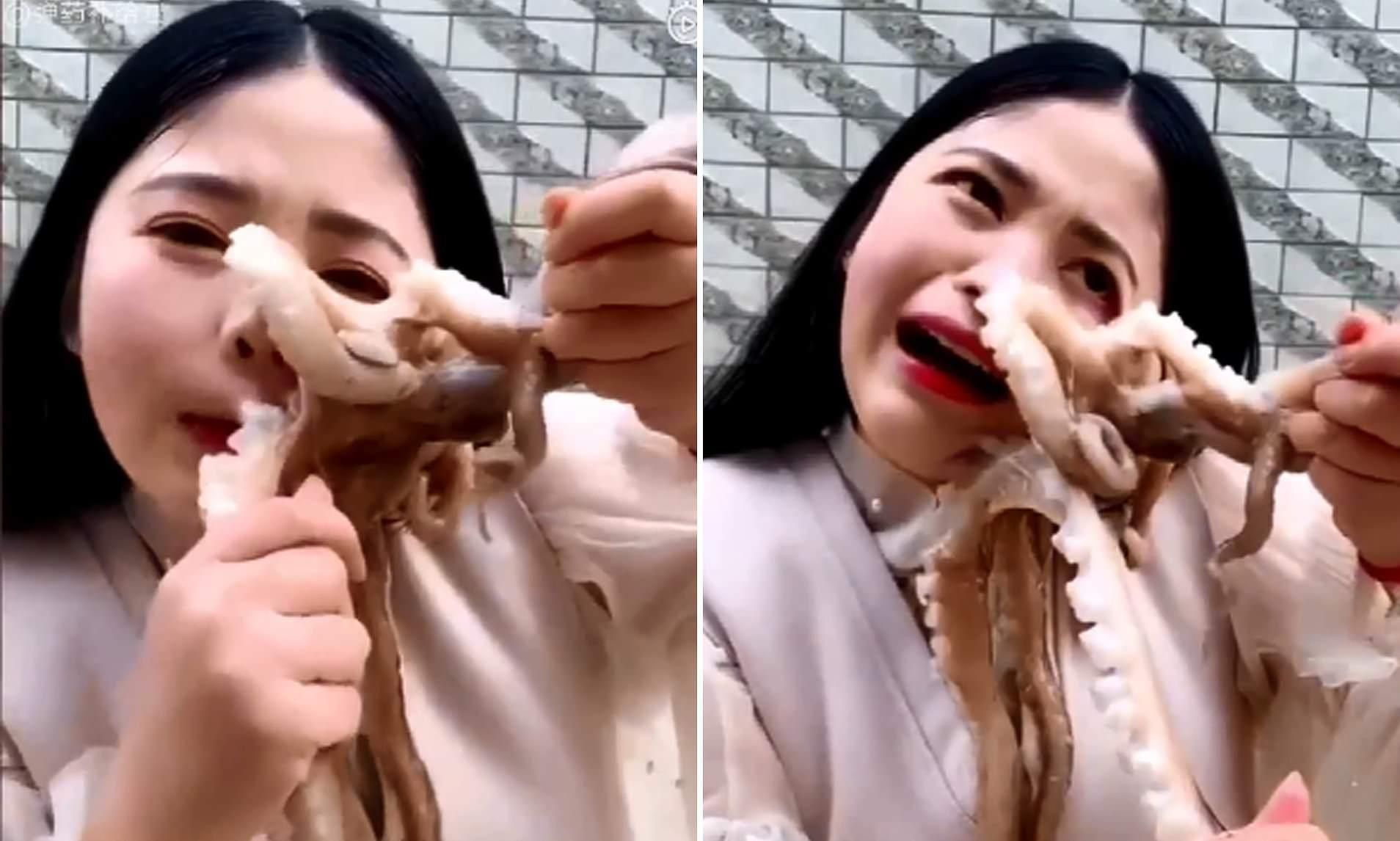 Блогер хотела съесть живого осьминога в эфире, но он напал на нее: видео