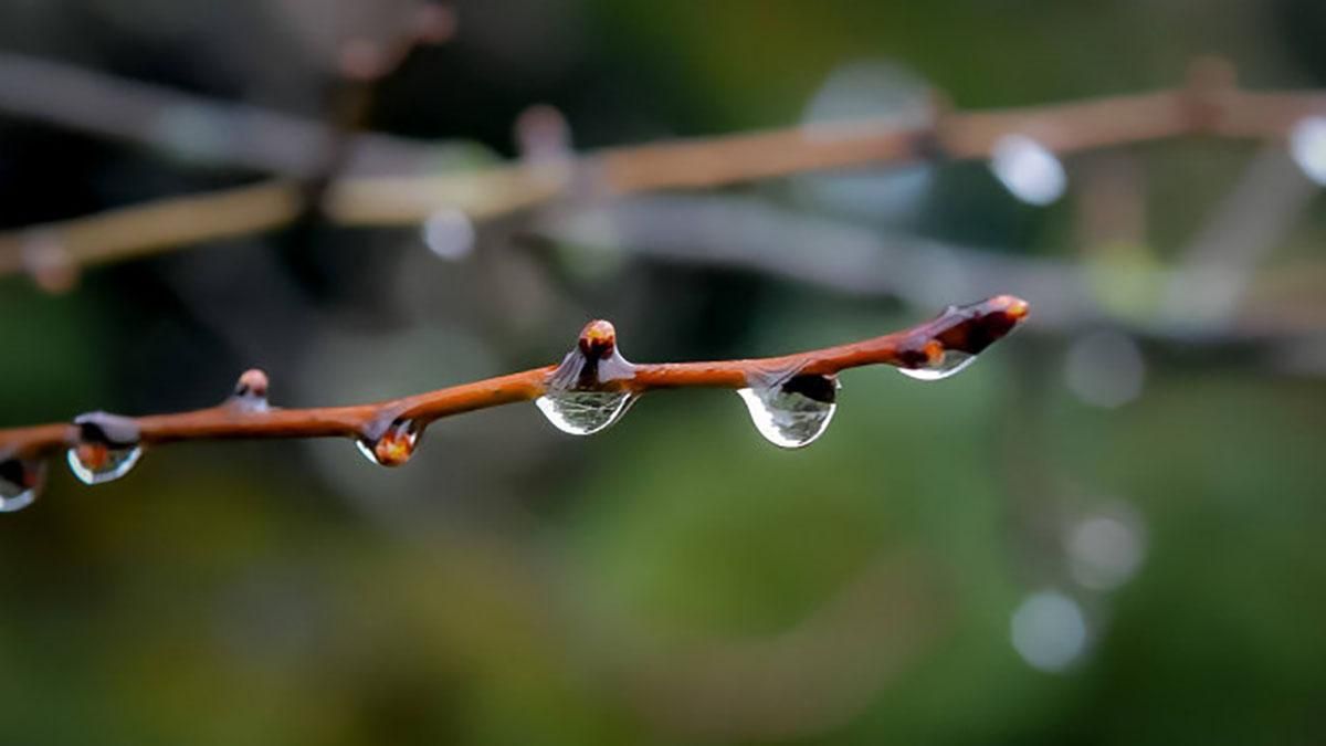 Погода 9 мая 2019 Украина - какую погоду обещает синоптик Погода 9 мая 2019 Украина - какую погоду обещает синоптик