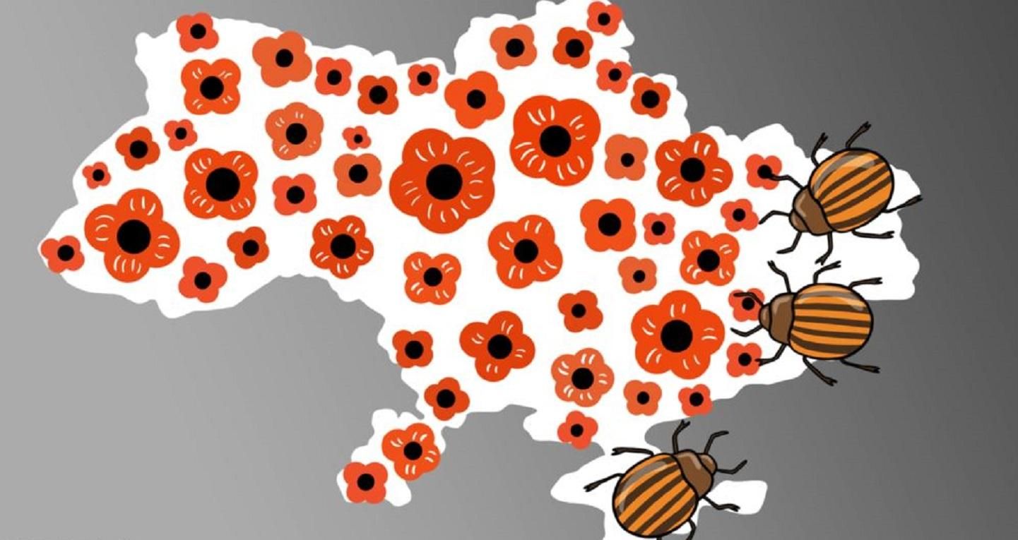 Какое наказание грозит за использование георгиевских лент: инфографика Какое наказание грозит за использование георгиевских лент: инфографика