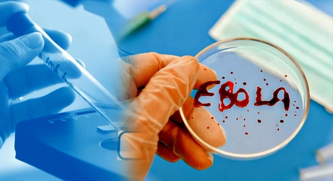 В НАТО разработали программу, которая может определить и контролировать смертельный вирус Эбола
