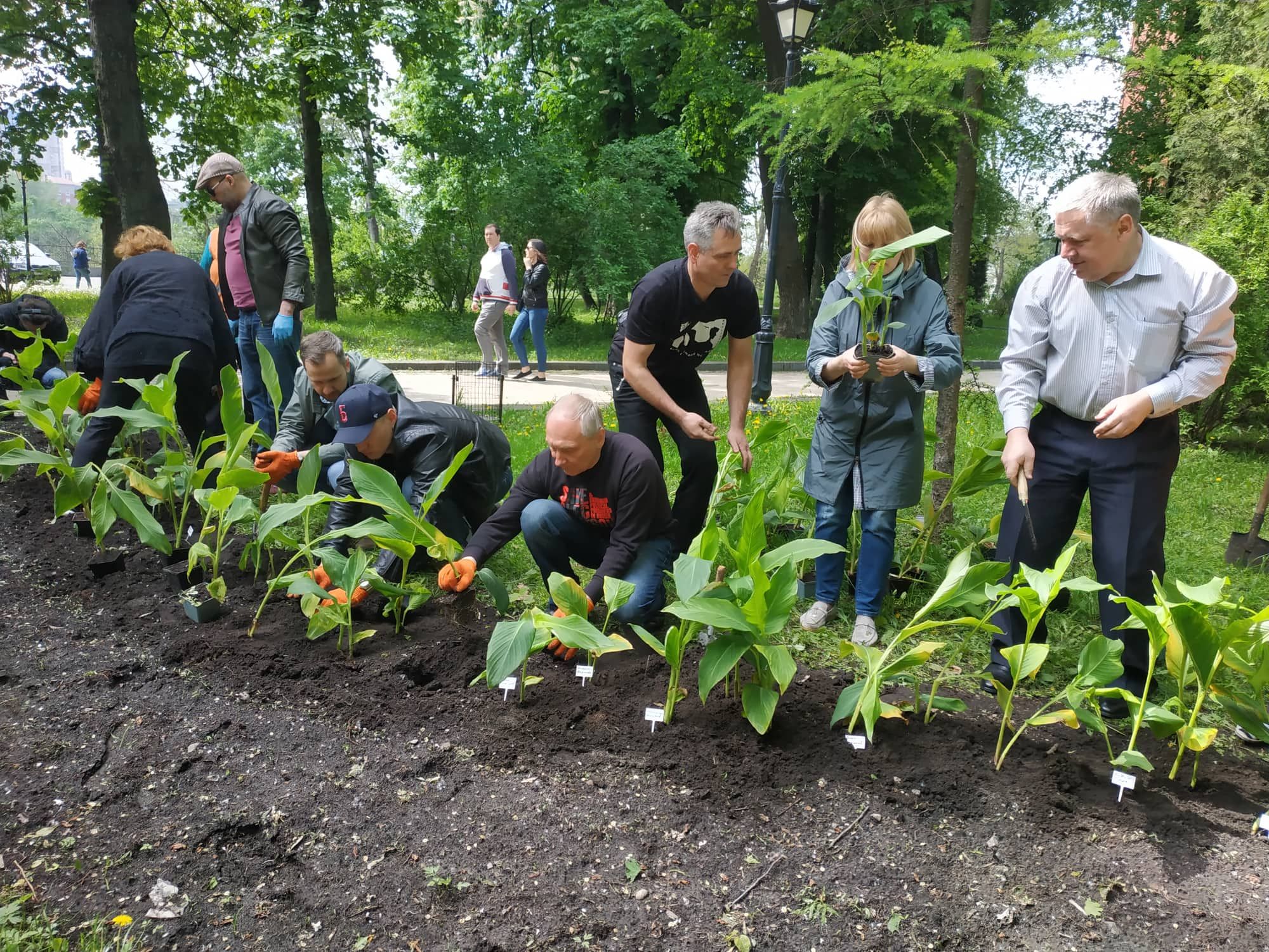 "Сажайте цветы, а не людей": деятели культуры присоединились к акции в поддержку Сенцова