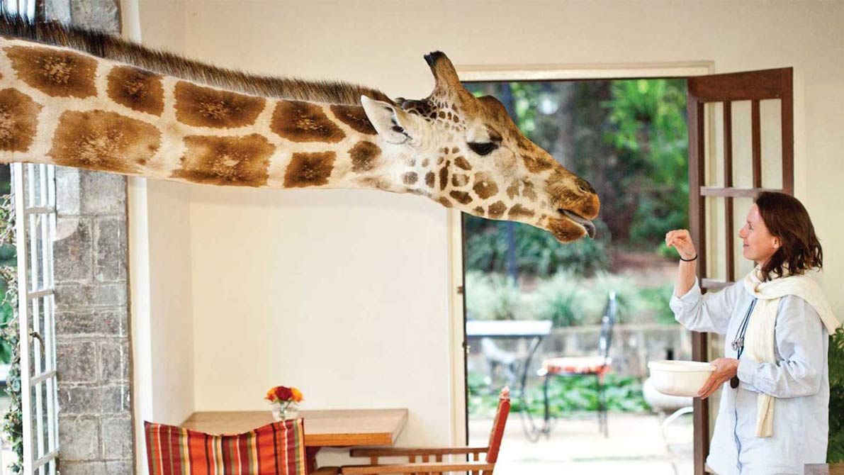 Сніданок з жирафами, готель Giraffe Manor
