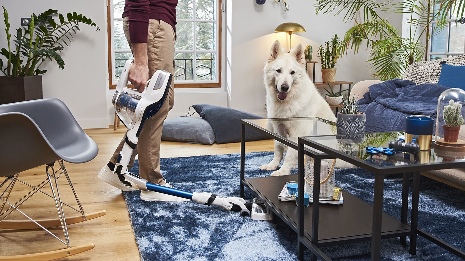 Убирать – легко: чем могут удивить современные пылесосы? Убирать – легко: чем могут удивить современные пылесосы?