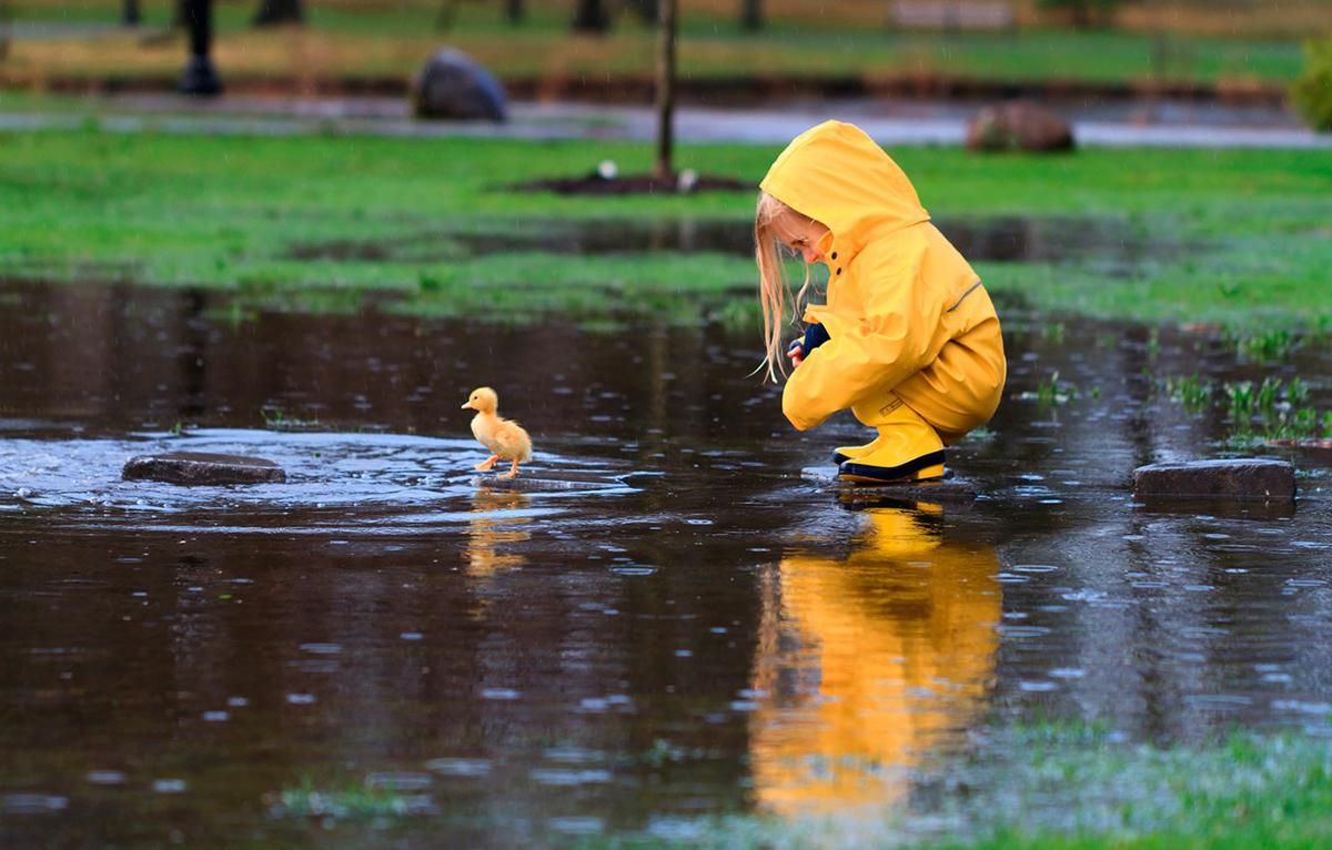 Погода 16 мая 2019 Украина - синоптик обещает дождь, но теплую погоду Погода 16 мая 2019 Украина - синоптик обещает дождь, но теплую погоду