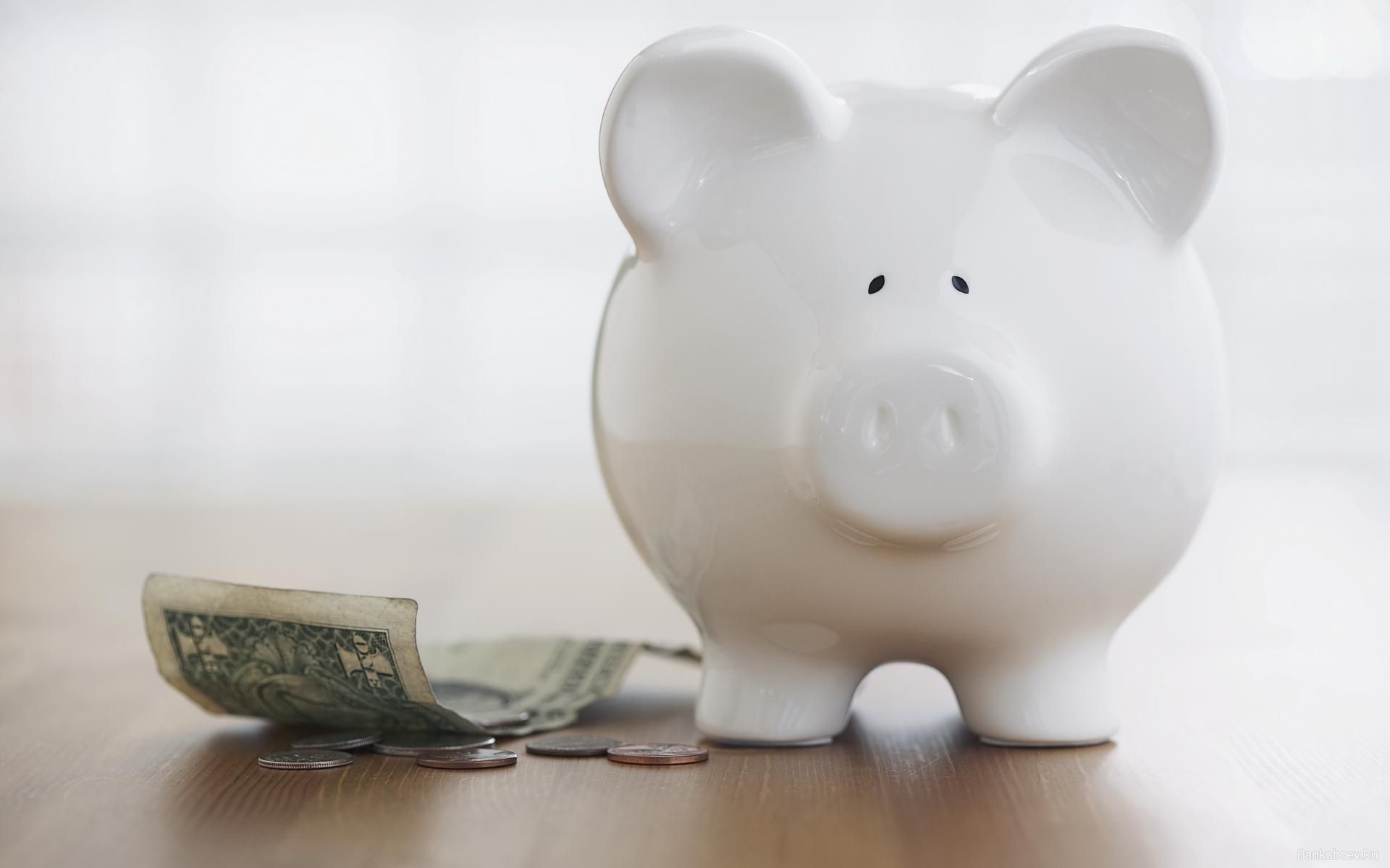 "Качели" вместо стабильной зарплаты: на что расчитывать украинцам - 17 травня 2019 - Телеканал новин 24 "Качели" вместо стабильной зарплаты: на что расчитывать украинцам - 17 травня 2019 - Телеканал новин 24