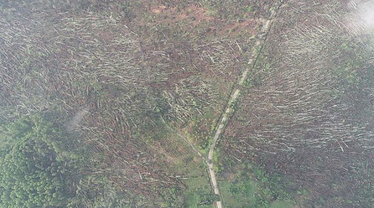 Смерч в Украине на Житомирщине - видео последствий - 2019 Смерч в Украине на Житомирщине - видео последствий - 2019