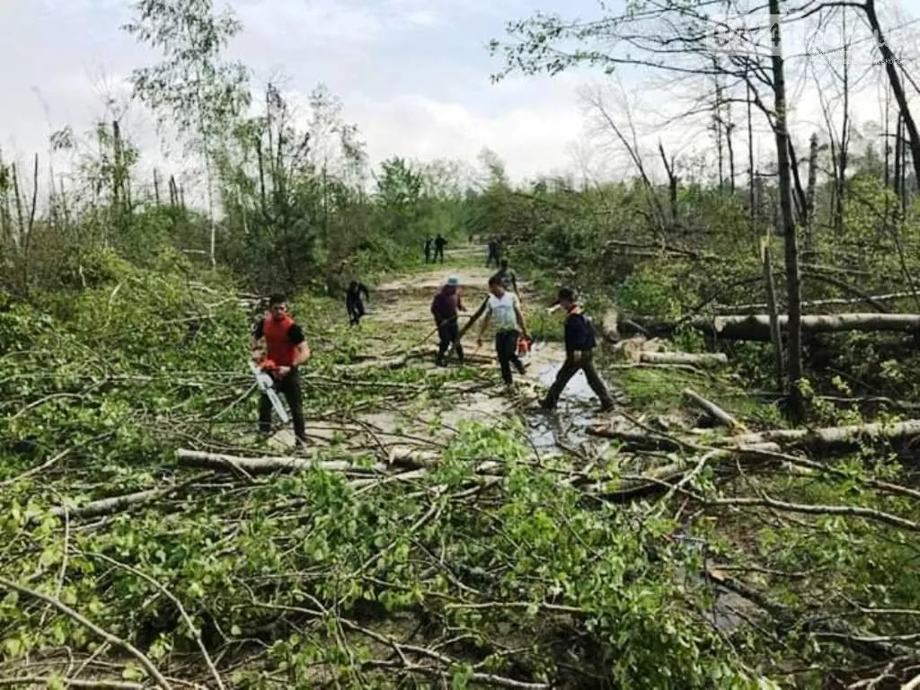 Буревій смерч негода Житомирська область знесло ліс