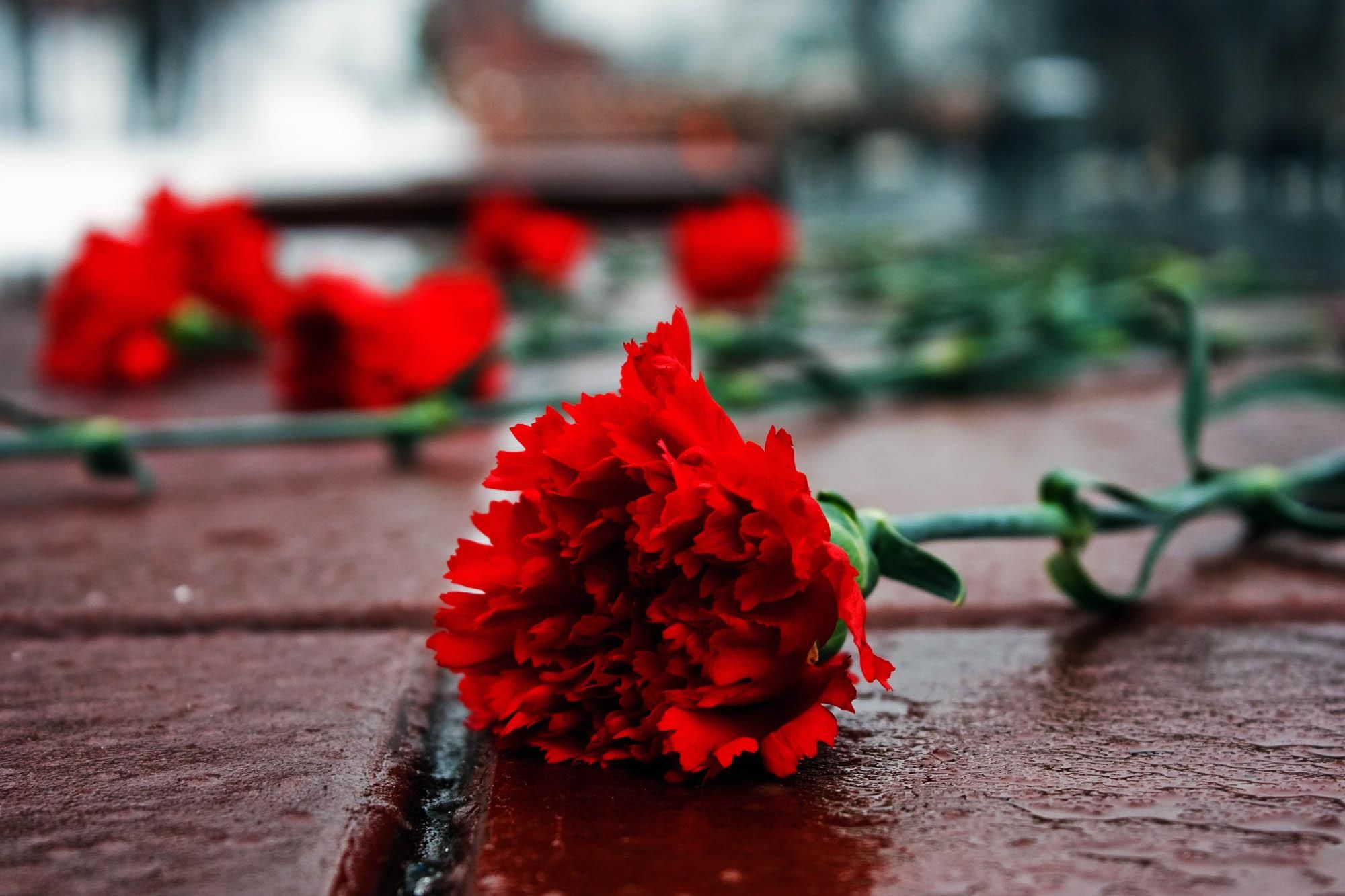Знищили за любов до України: спогади онуки Грушевського про вбивчу машину НКВС