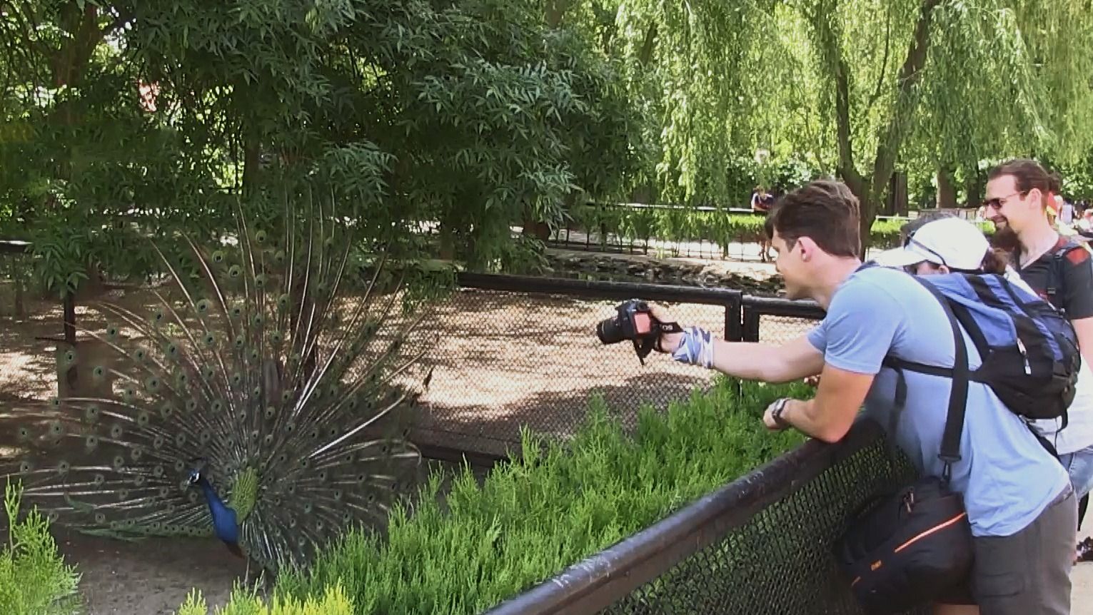 Заповіднику "Асканія-Нова" – 100 років: вражаючі фото дикої природи Заповіднику "Асканія-Нова" – 100 років: вражаючі фото дикої природи