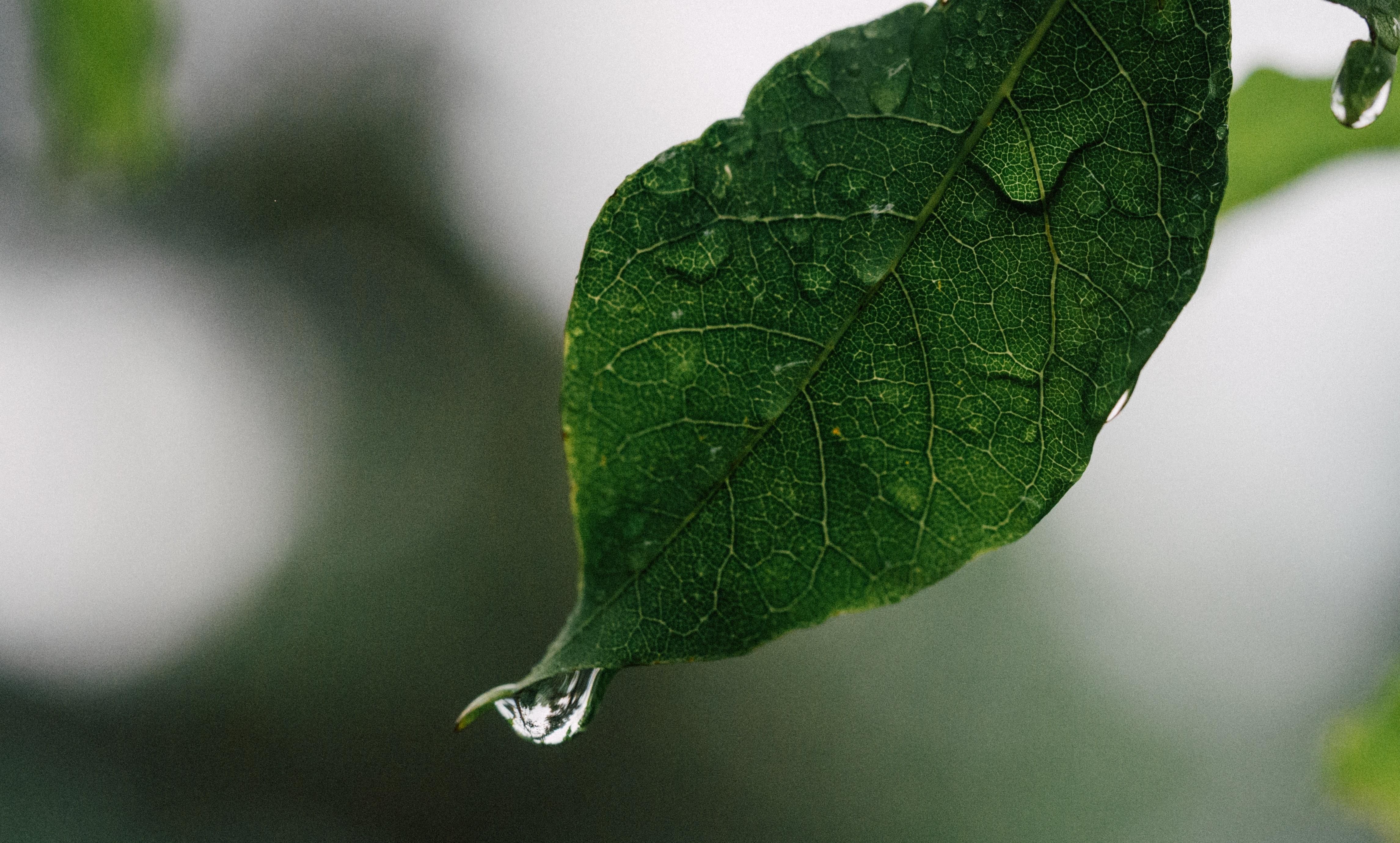 Погода 22 травня 2019 Україна - синоптик обіцяє дощі із Заходу Погода 22 травня 2019 Україна - синоптик обіцяє дощі із Заходу