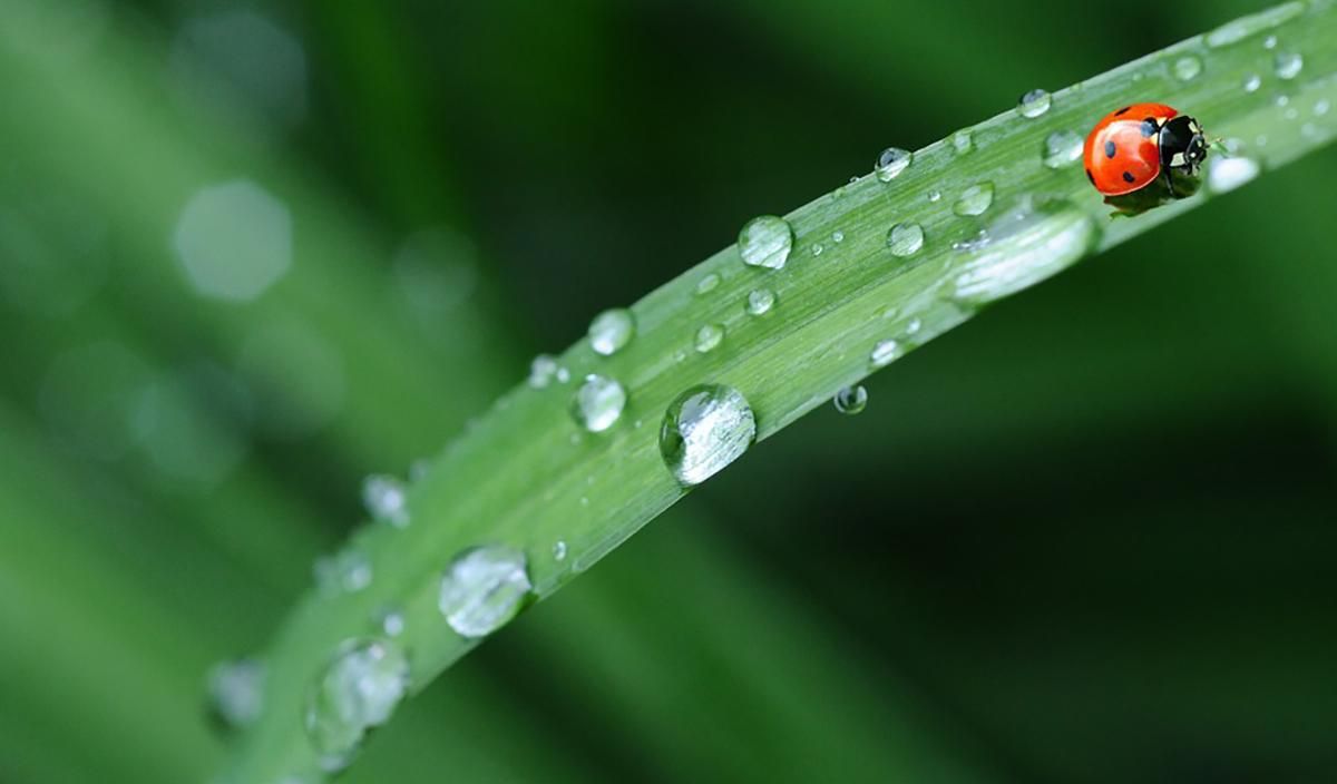 Погода 23 мая 2019 Украина - прогноз погоды от синоптика Погода 23 мая 2019 Украина - прогноз погоды от синоптика