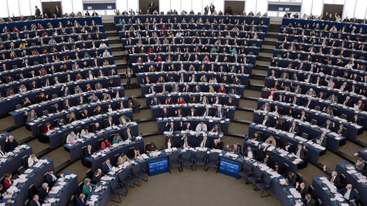 Вибори до Європарламенту: ЄС може дати тріщину