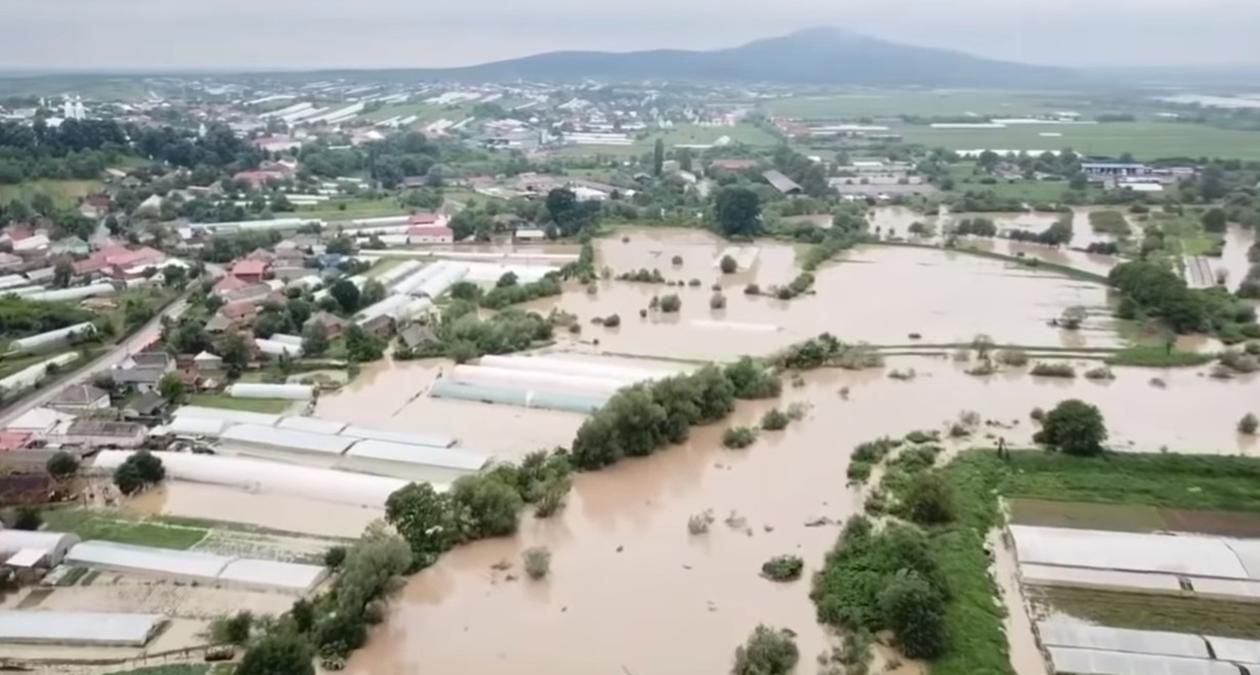 Закарпатье накрыло наводнение: шокирующие фото и видео