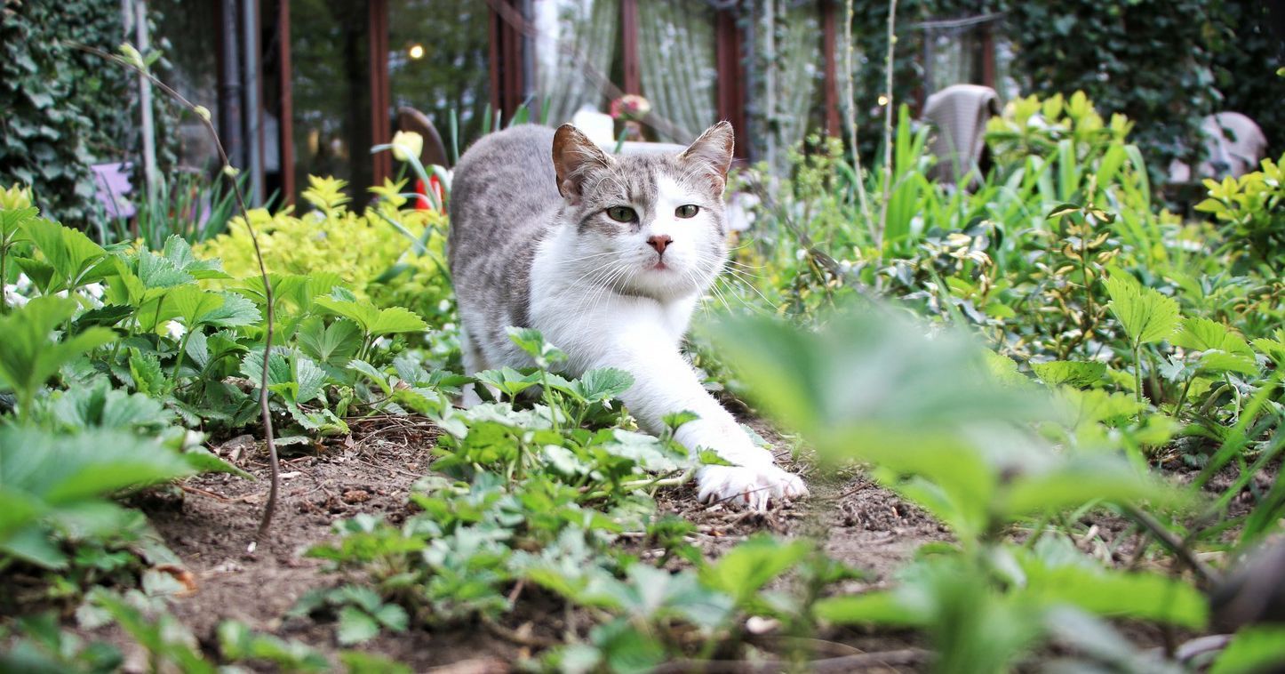 Погода 29 мая 2019 Украина - тепло, на западе - дожди и грозы Погода 29 мая 2019 Украина - тепло, на западе - дожди и грозы