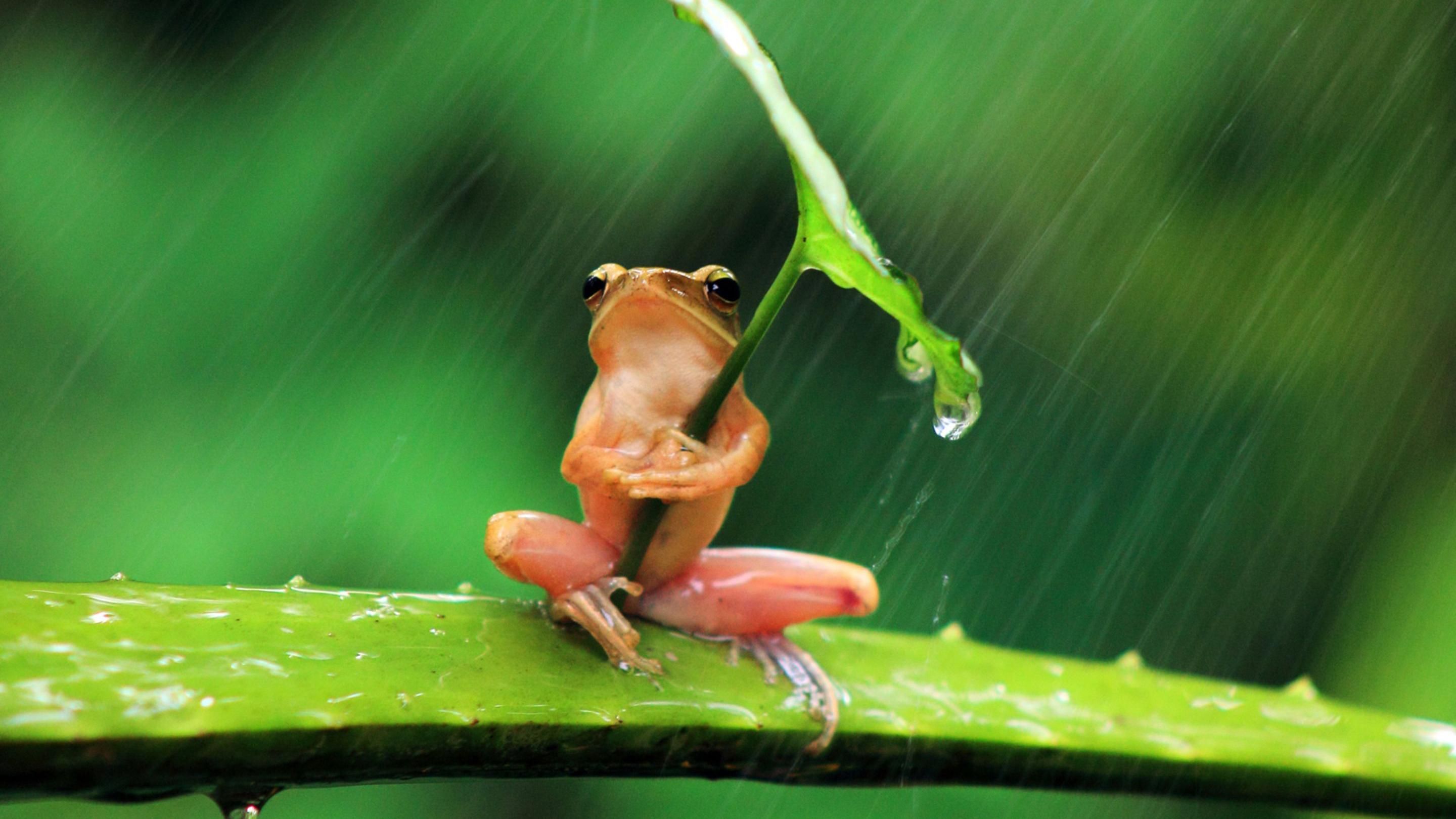 Погода 30 мая 2019 Украина - прогноз погоды отсиноптика Погода 30 мая 2019 Украина - прогноз погоды отсиноптика