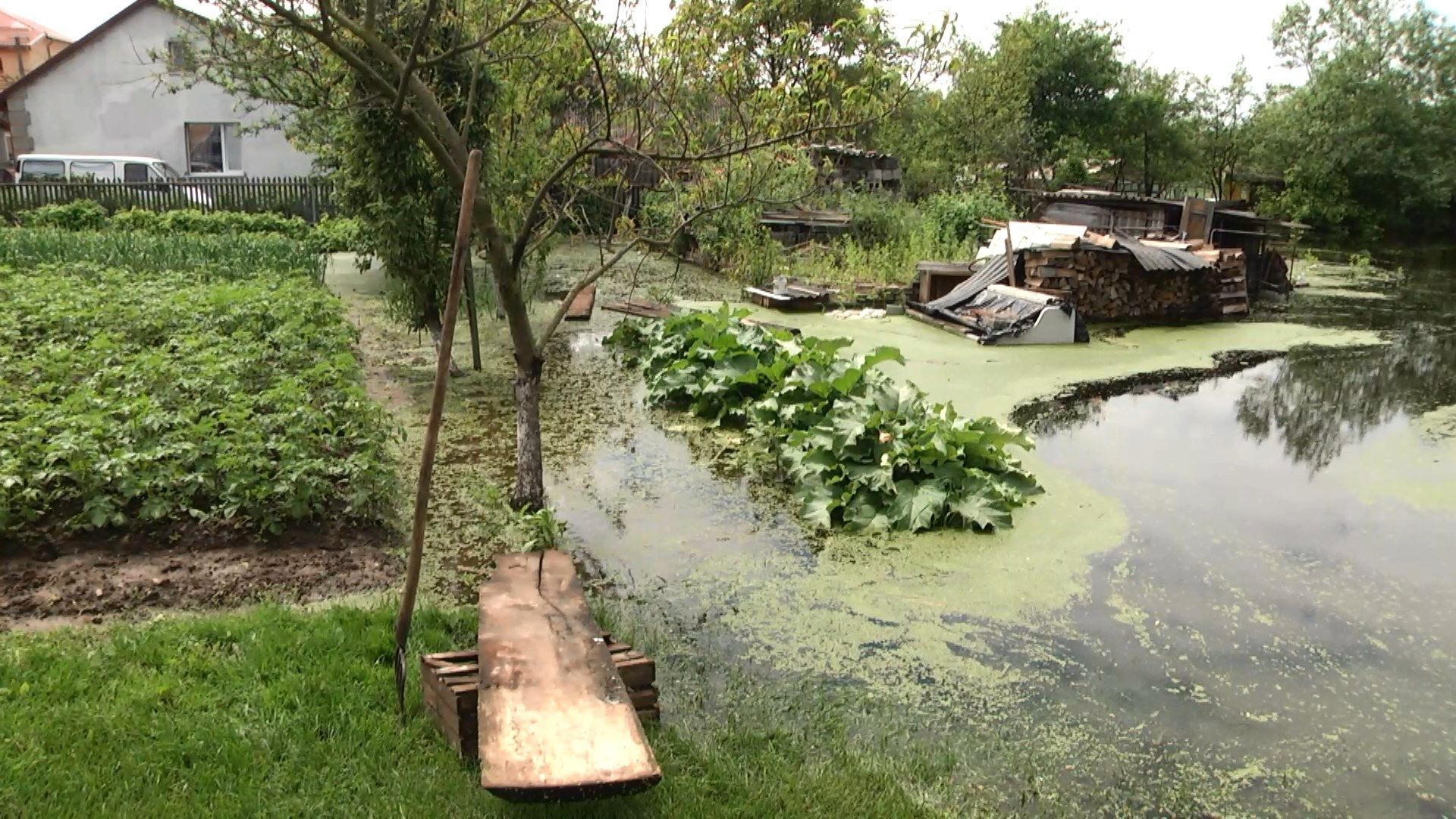 На Львівщині затопило містечко: чи можна було попередити катастрофу На Львівщині затопило містечко: чи можна було попередити катастрофу