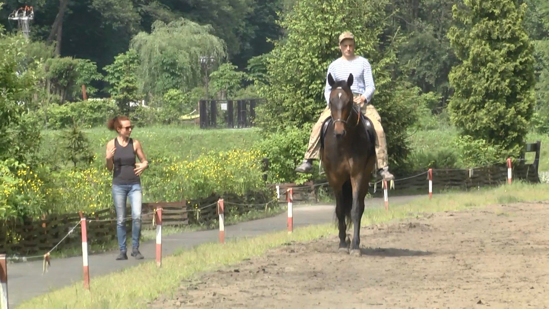 Як коні допомагають військовим відновитися після бойового стресу Як коні допомагають військовим відновитися після бойового стресу