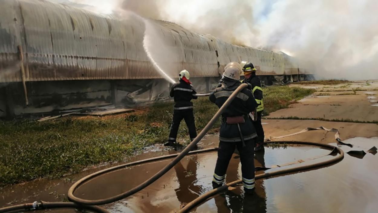 Пожар на птицефабрике под Киевом 4 июня 2019 - фото, видео