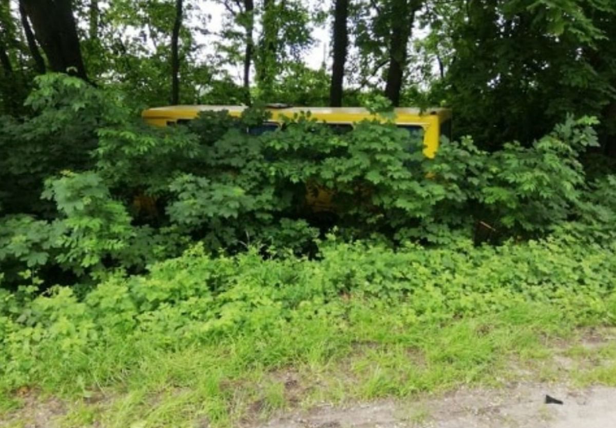 У Львова маршрутка с пассажирами слетела с дороги: фото У Львова маршрутка с пассажирами слетела с дороги: фото