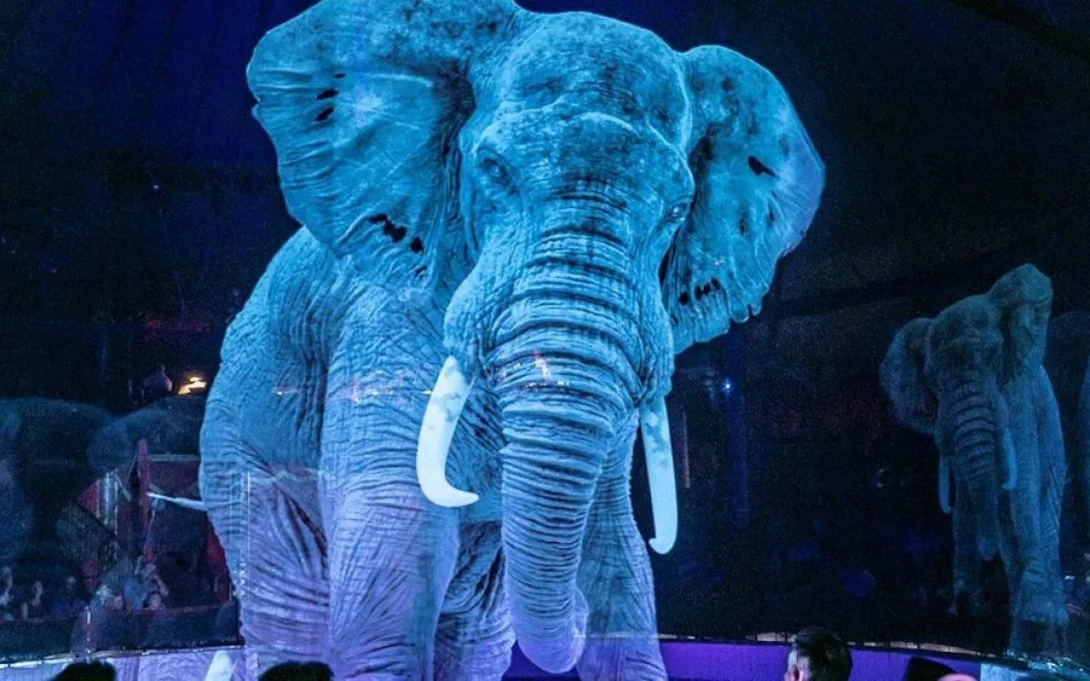 Глядачі нового циркового шоу залишились під враженнням Глядачі нового циркового шоу залишились під враженнням