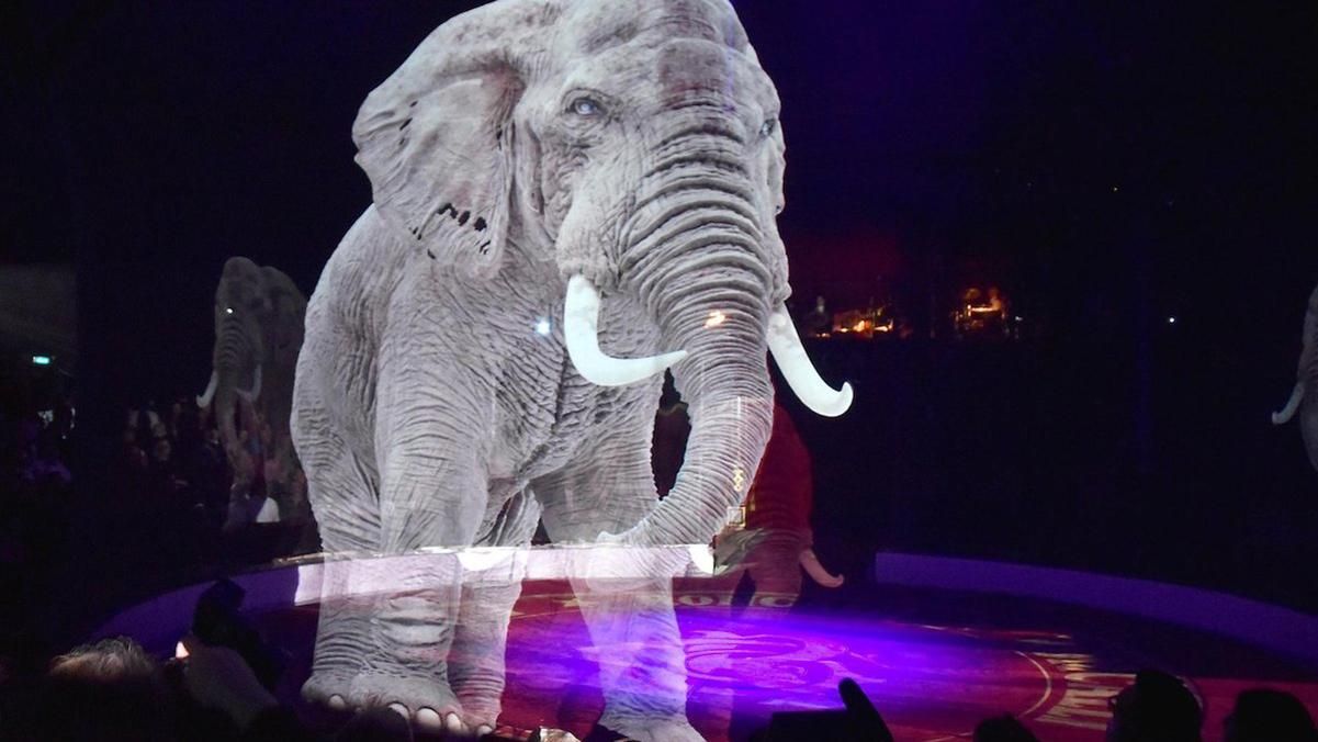 Немецкий цирк отказался от дрессированных животных – их заменили голограммы