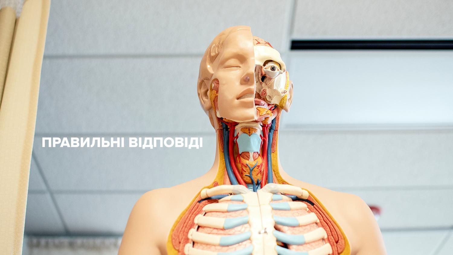 ЗНО 2019 біологія - правильні відповіді тестування з біології ЗНО 2019 біологія - правильні відповіді тестування з біології